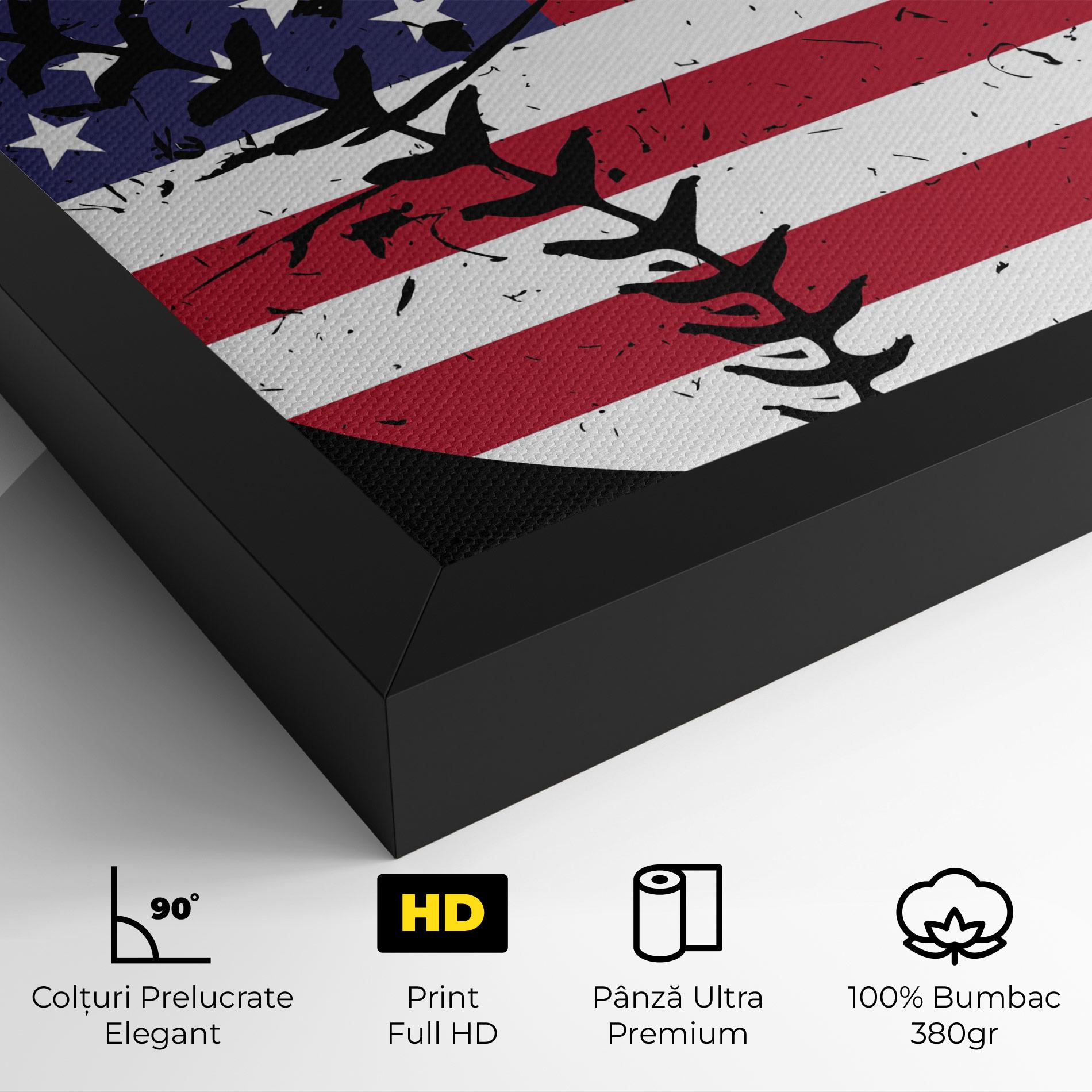 Tablou Canvas Baseball Usa mockup 4