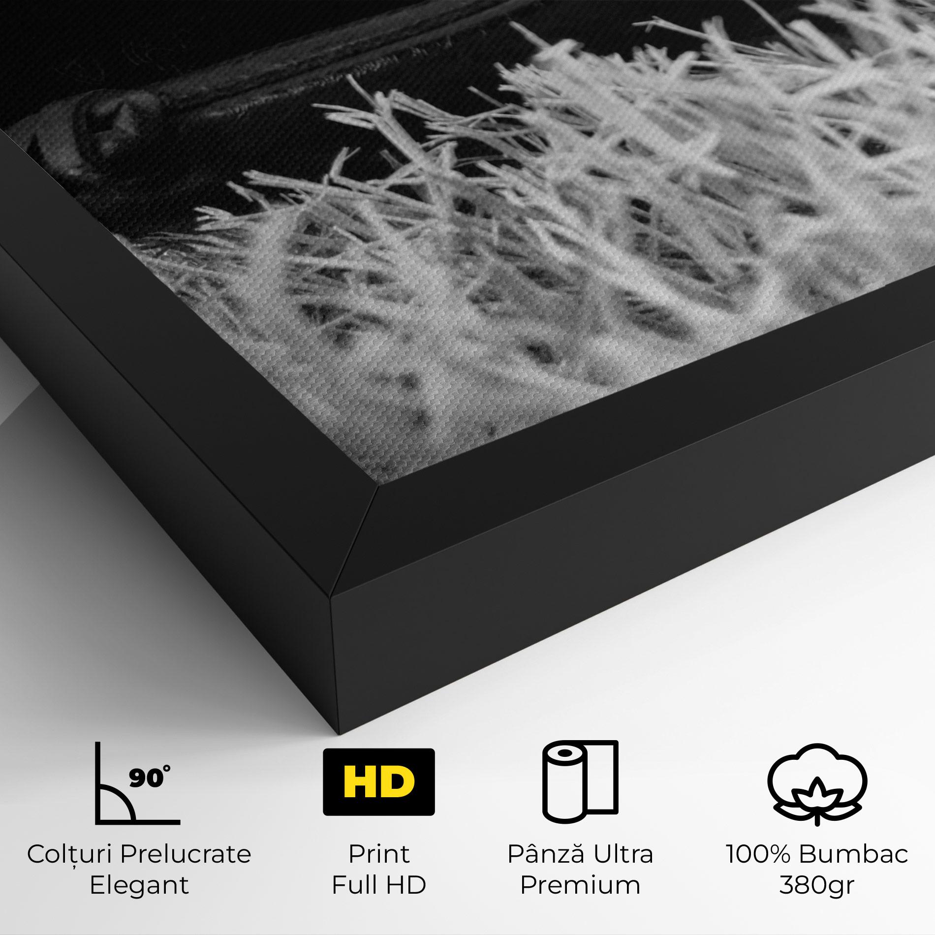 Tablou Canvas Black Baseball Glove mockup 4