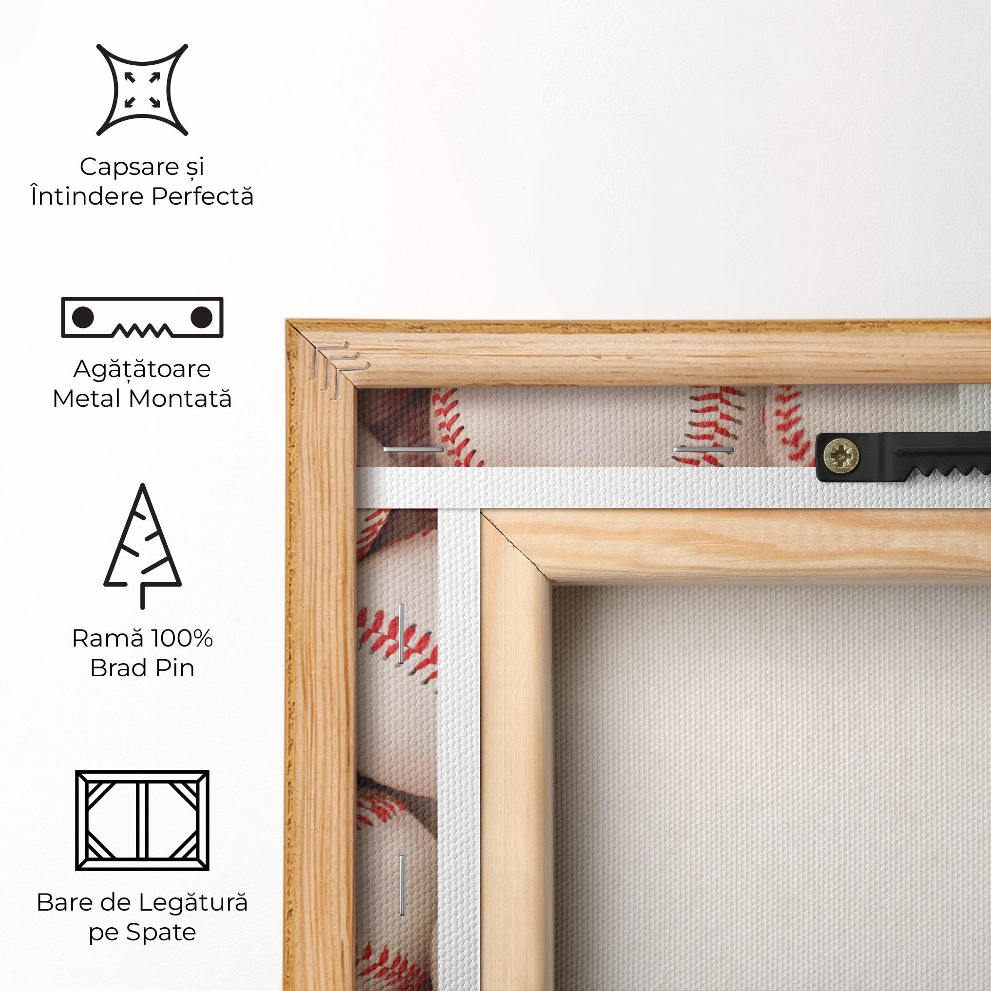 Tablou Canvas Baseball Balls Stack mockup 5