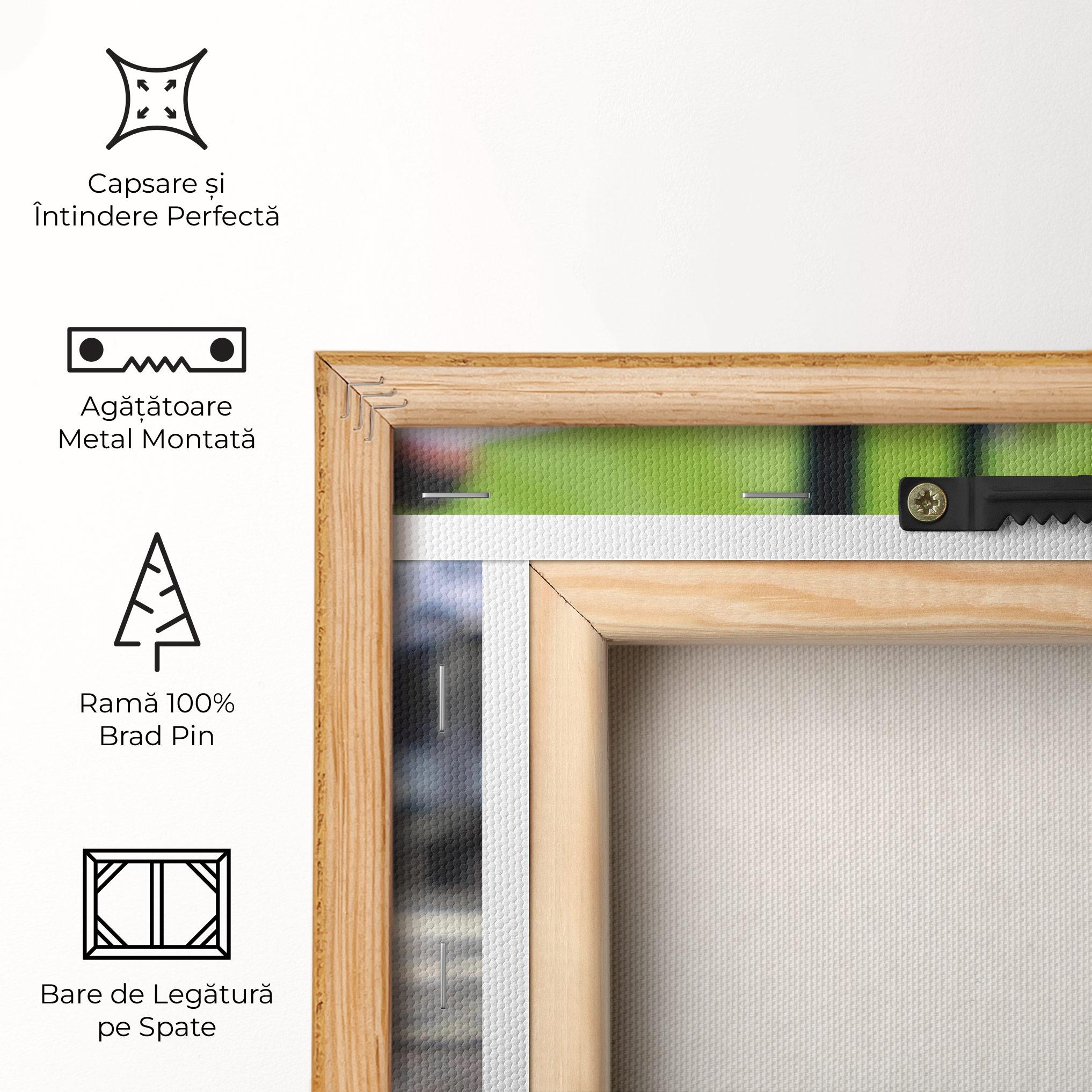 Tablou Canvas Baseball Nr 19 mockup 5