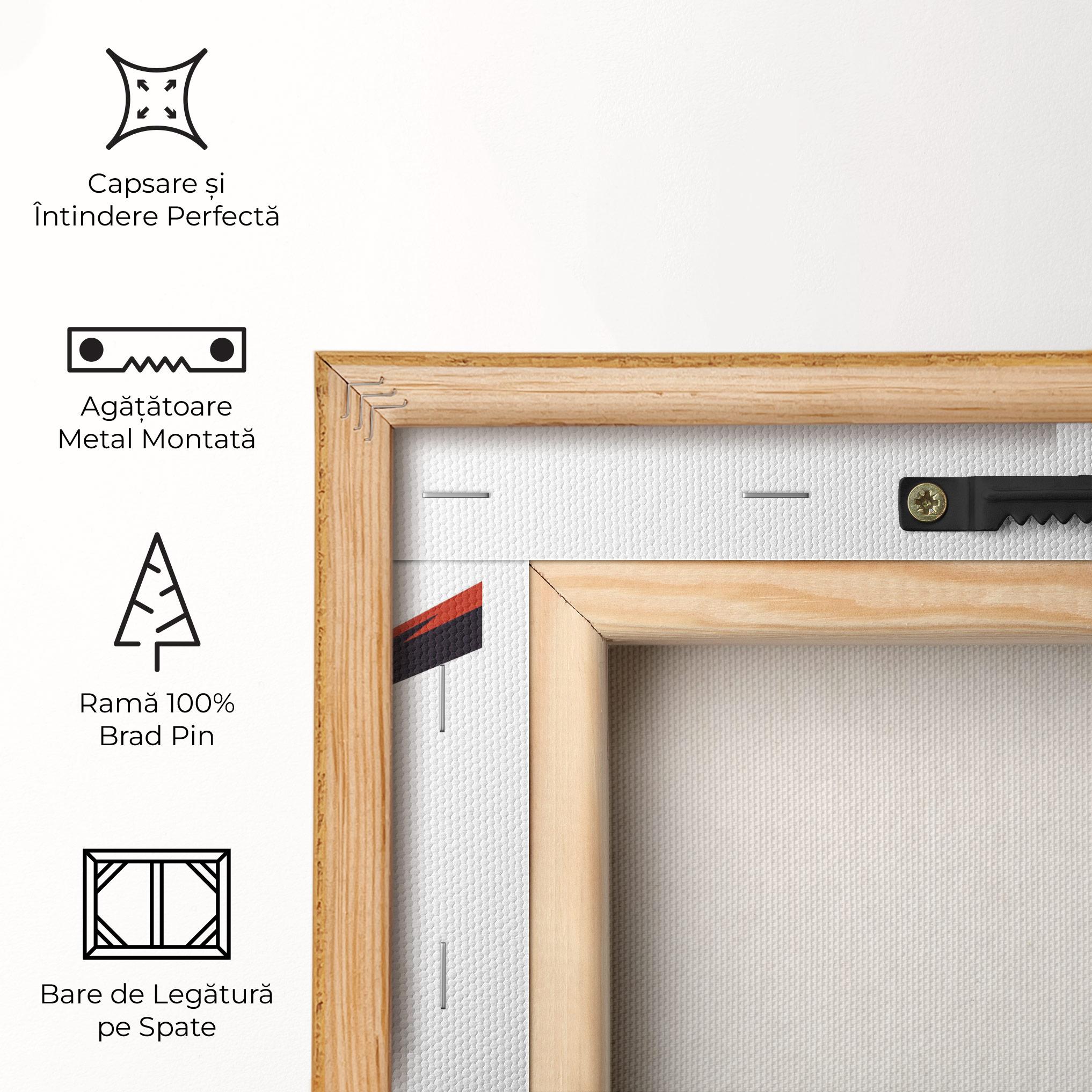 Tablou Canvas Baseball Red Art mockup 5