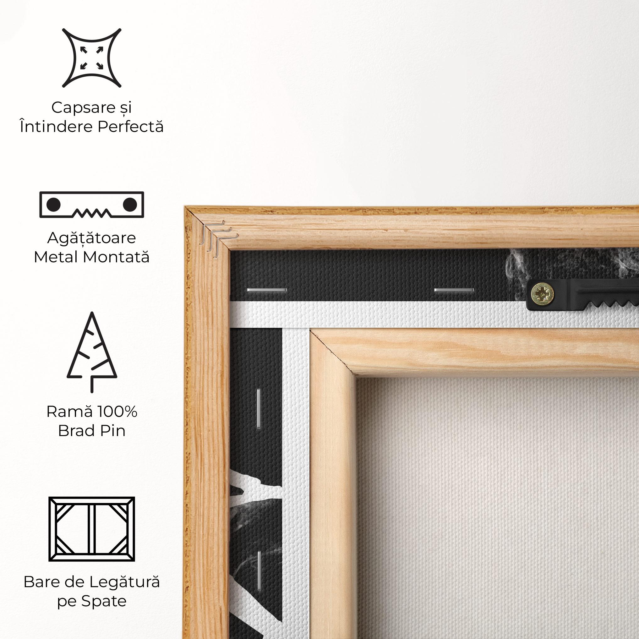 Tablou Canvas Baseball Smoke mockup 5