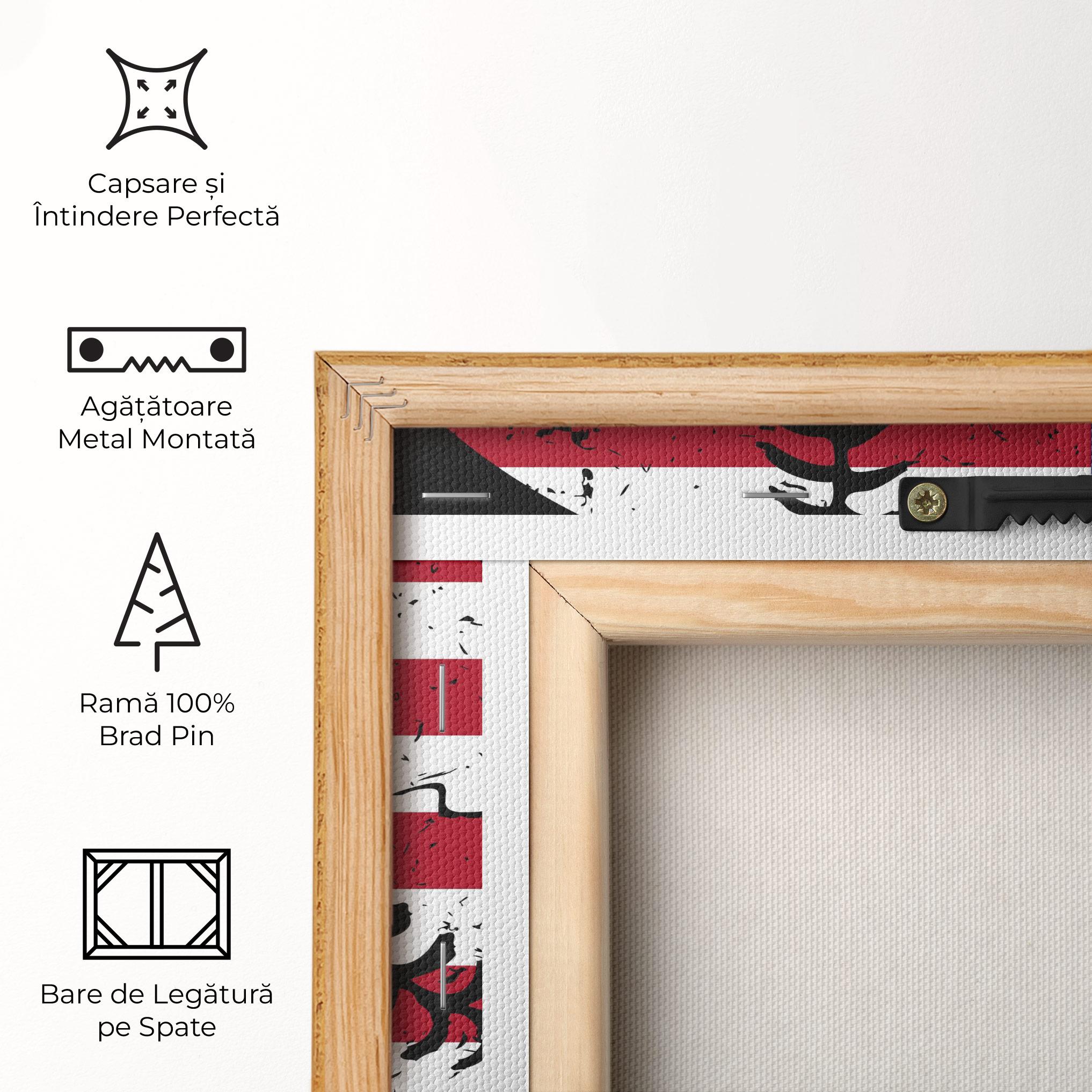 Tablou Canvas Baseball Usa mockup 5