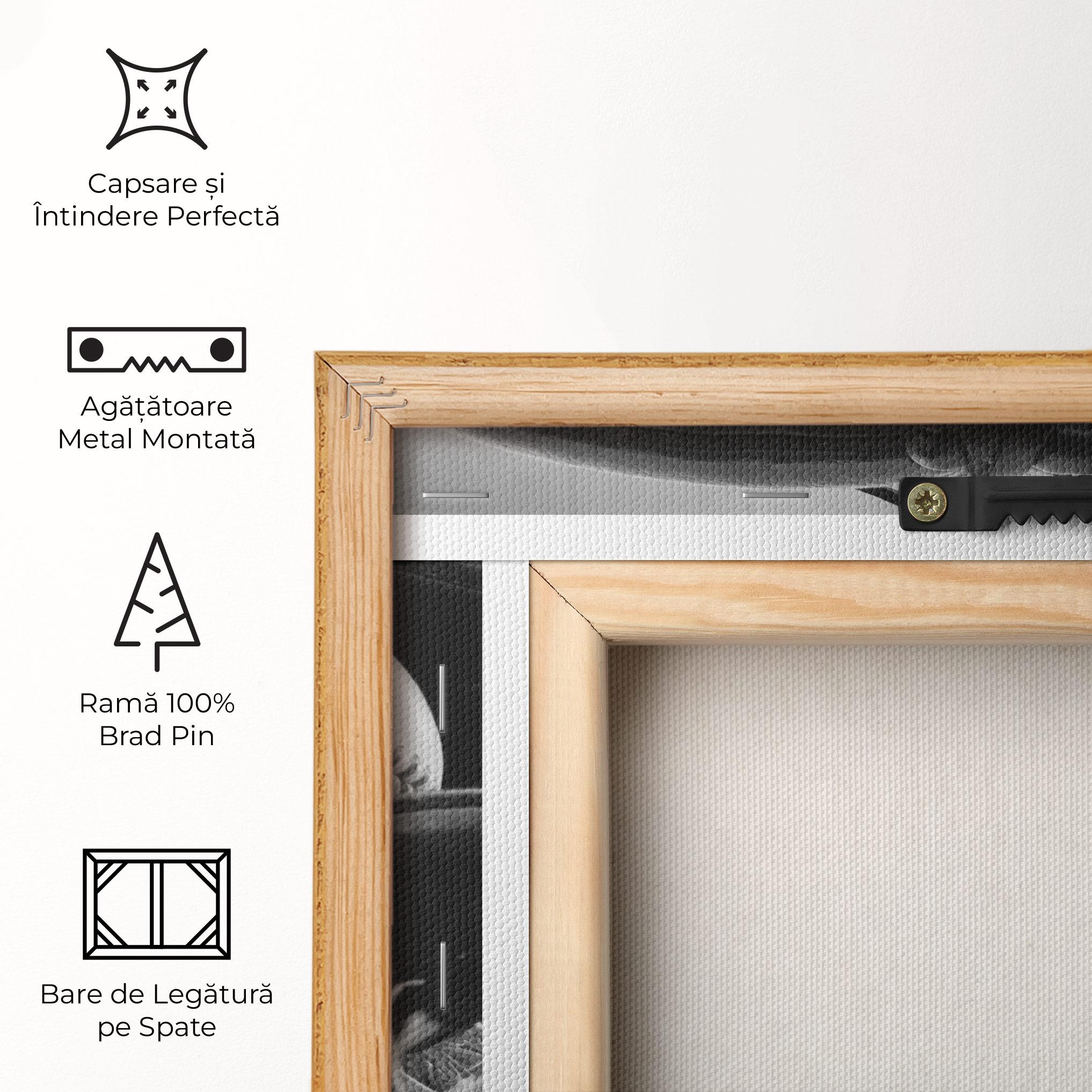 Tablou Canvas Black Baseball Glove mockup 5