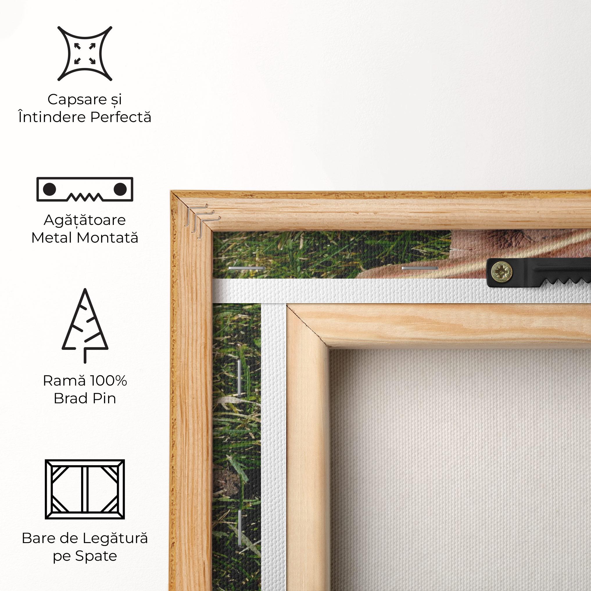 Tablou Canvas Brown Baseball Glove mockup 5