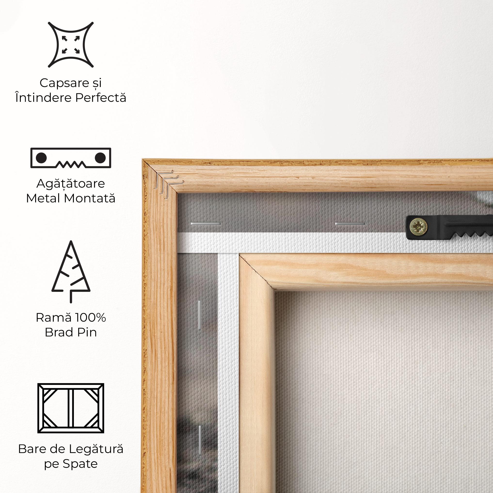 Tablou Canvas Dusty Baseball Ball mockup 5