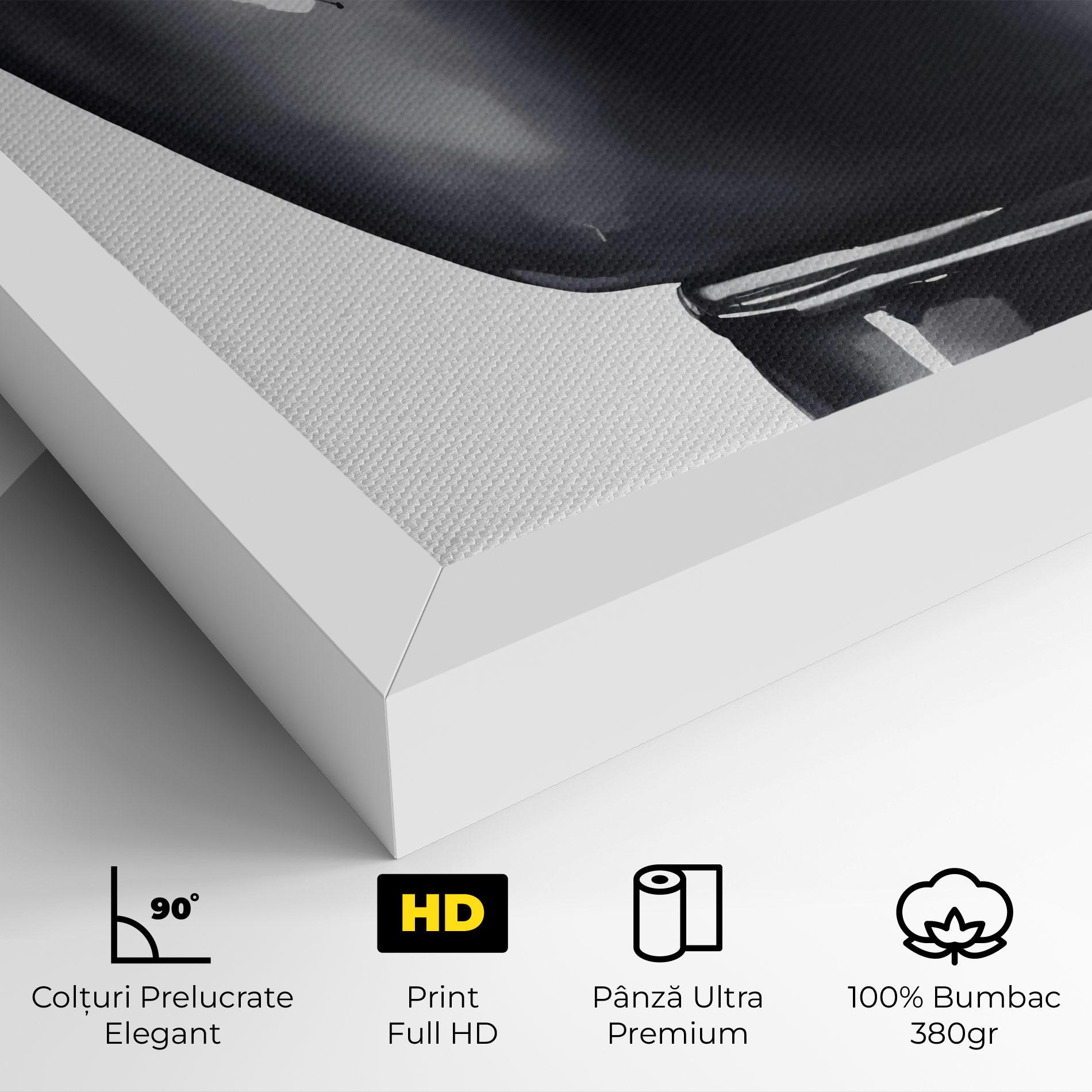 Tablou Canvas Black Box Glove mockup 4