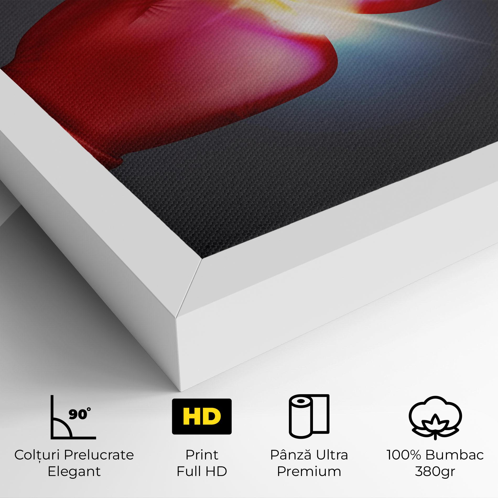 Tablou Canvas Box Explosion mockup 4