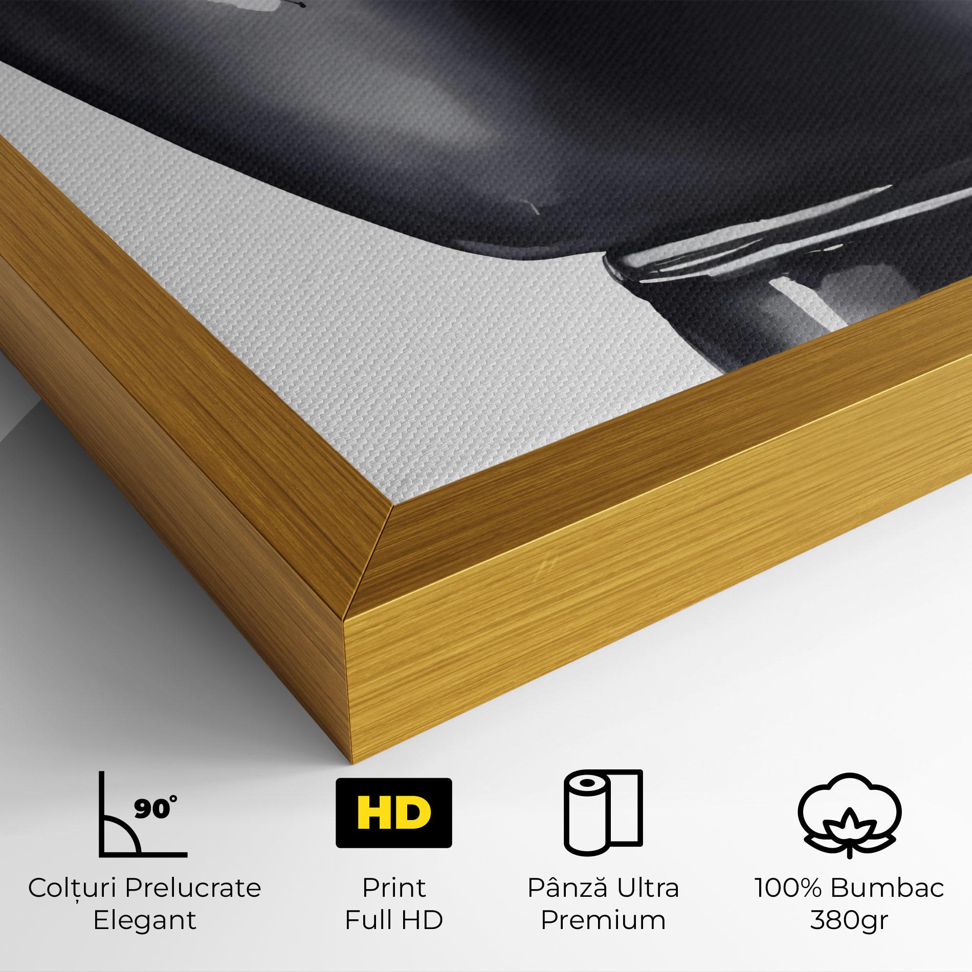 Tablou Canvas Black Box Glove mockup 4