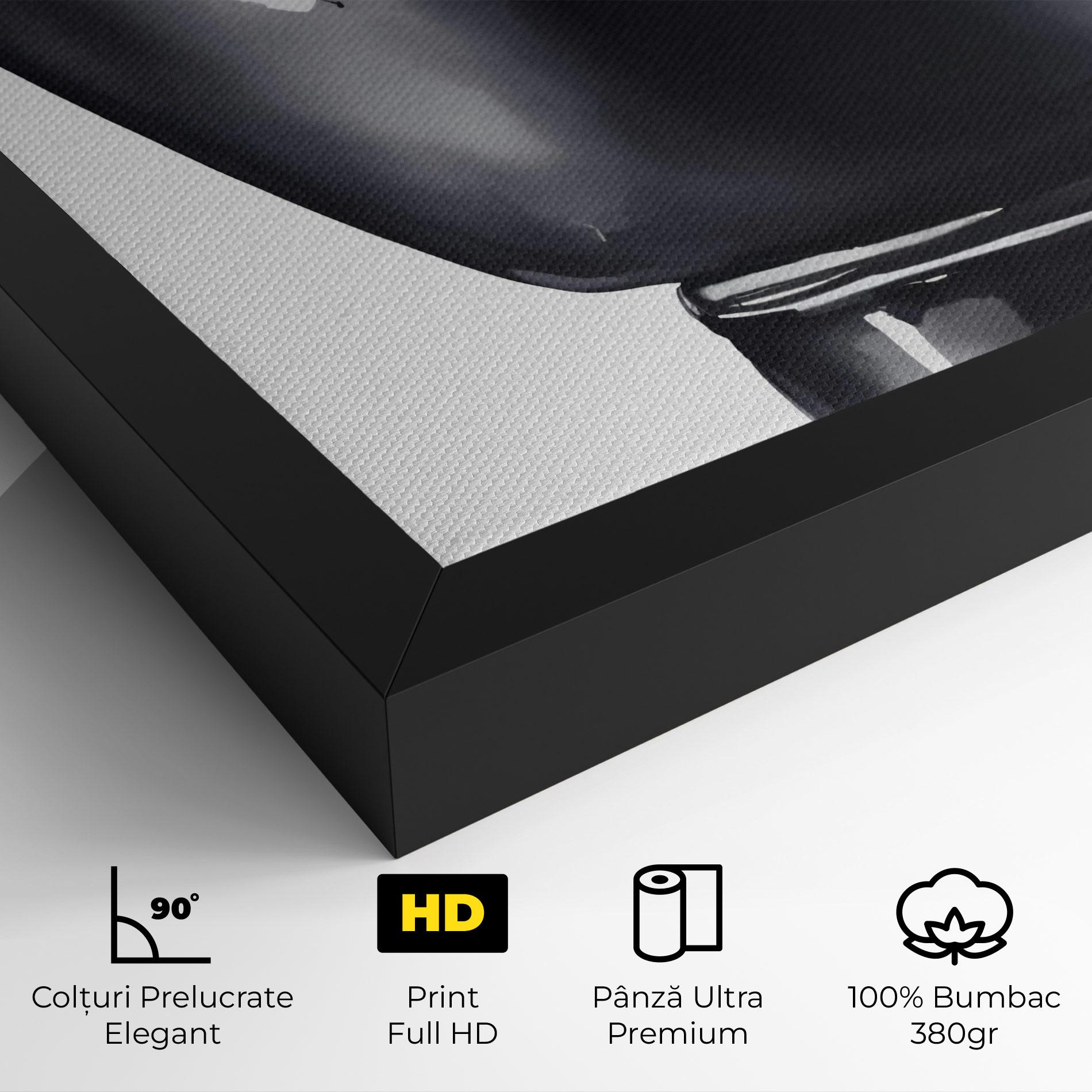 Tablou Canvas Black Box Glove mockup 4