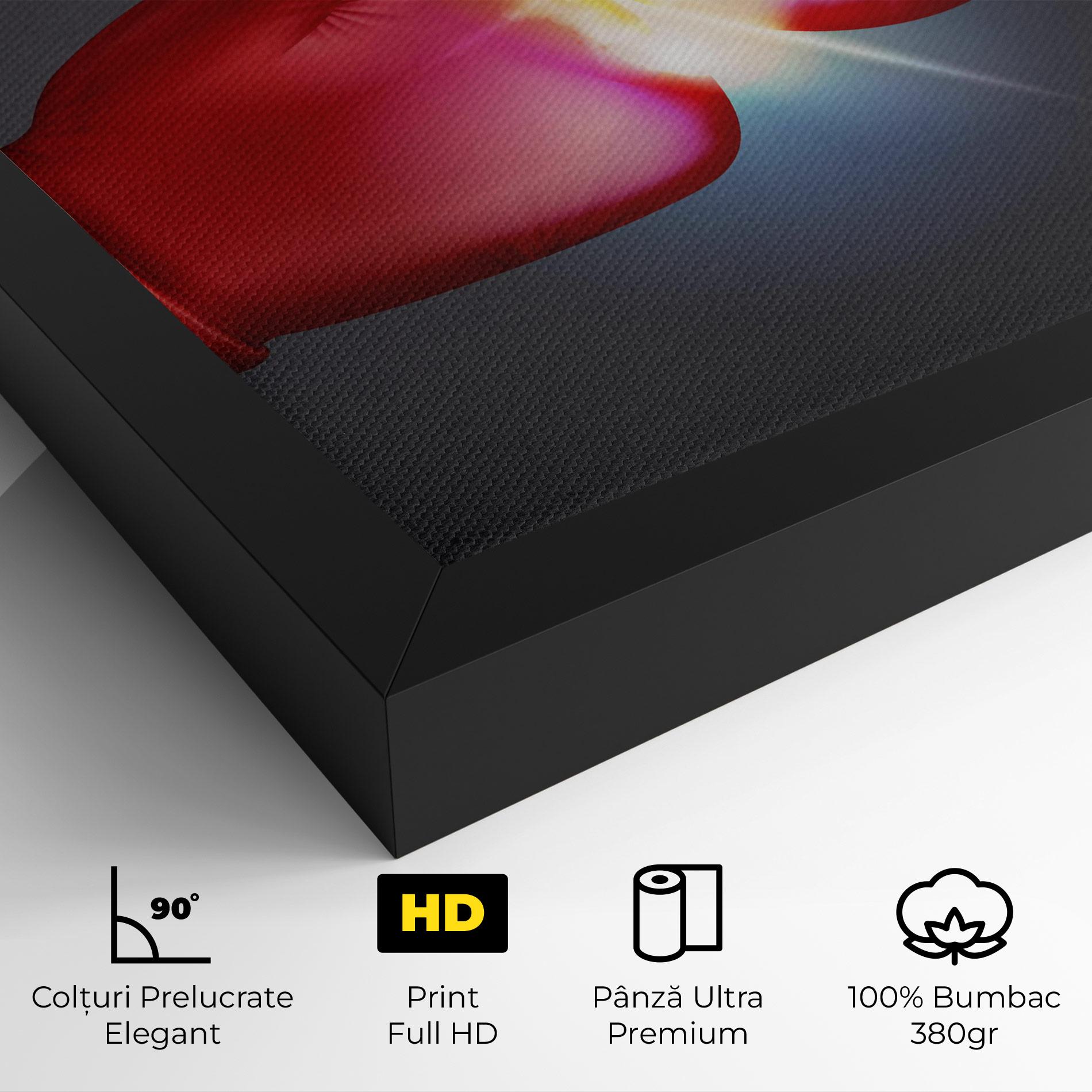 Tablou Canvas Box Explosion mockup 4