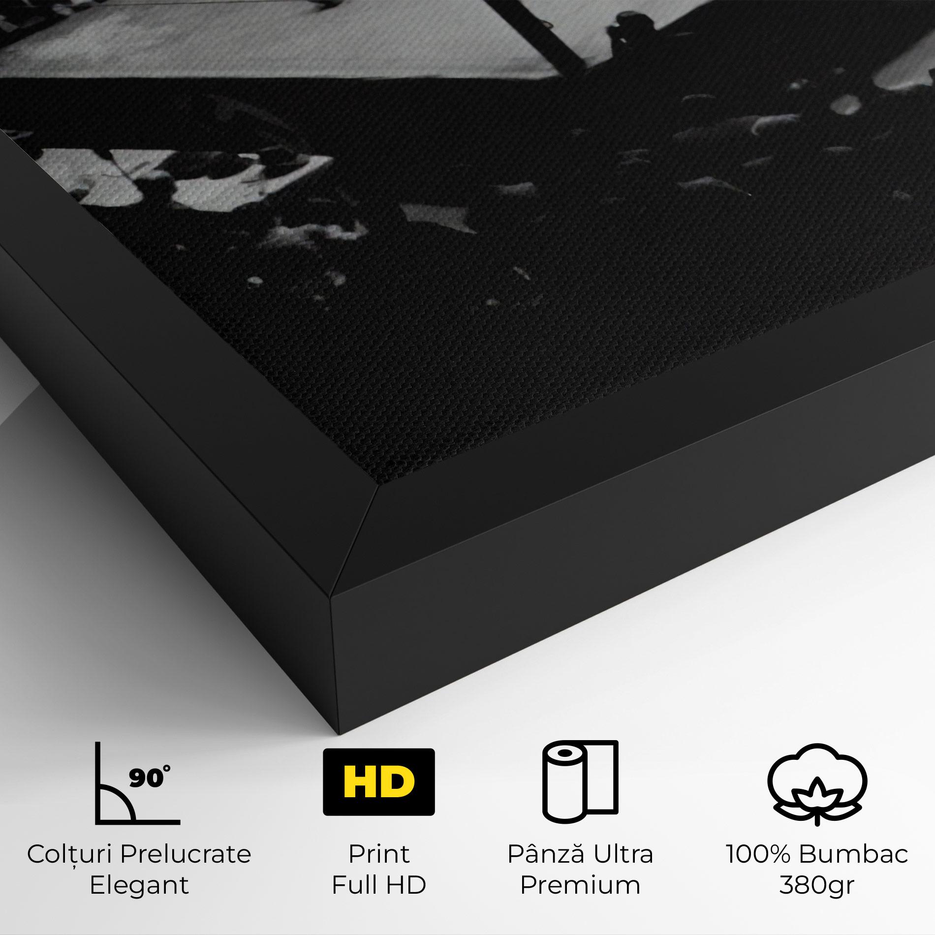 Tablou Canvas Grey Ring mockup 4