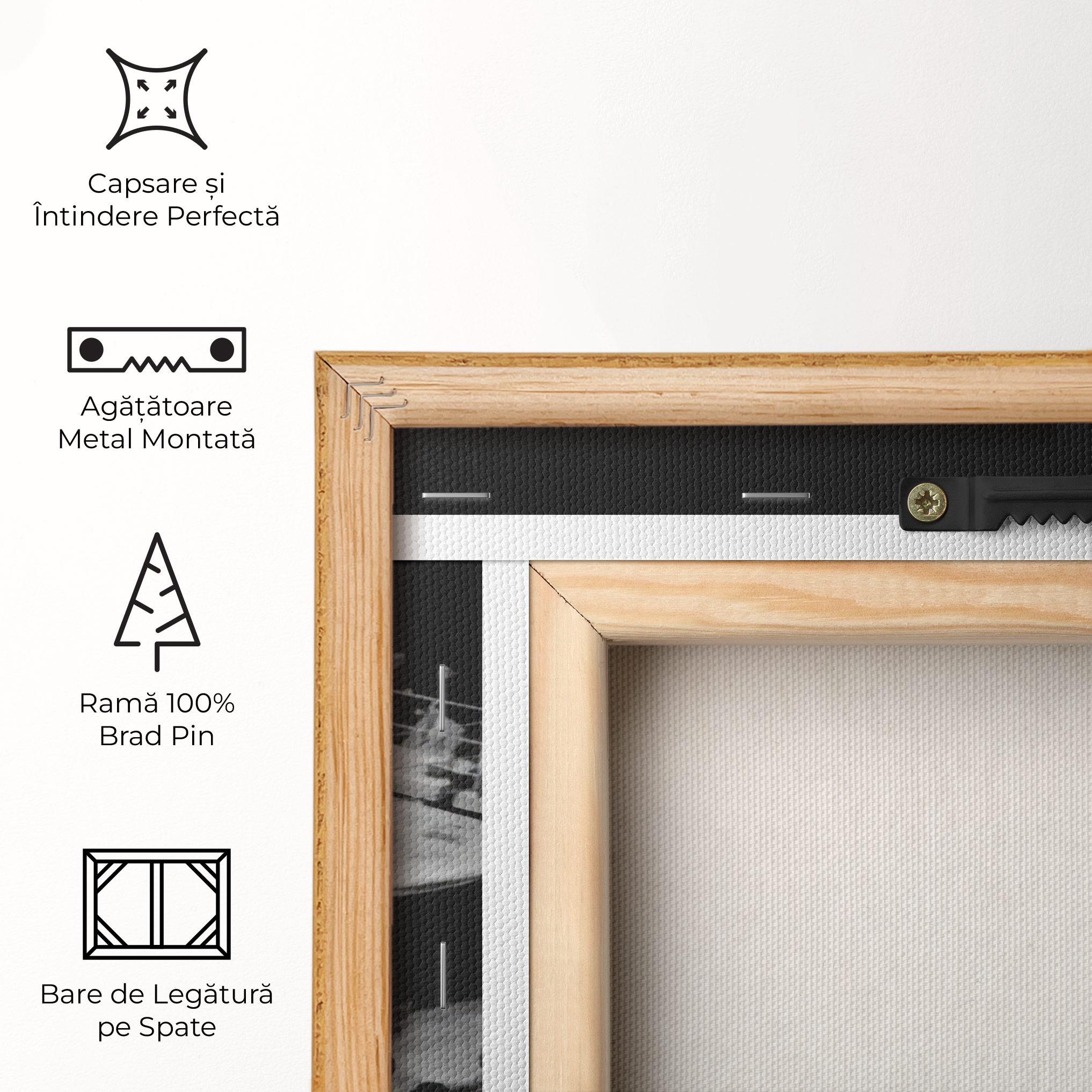 Tablou Canvas Grey Ring mockup 5