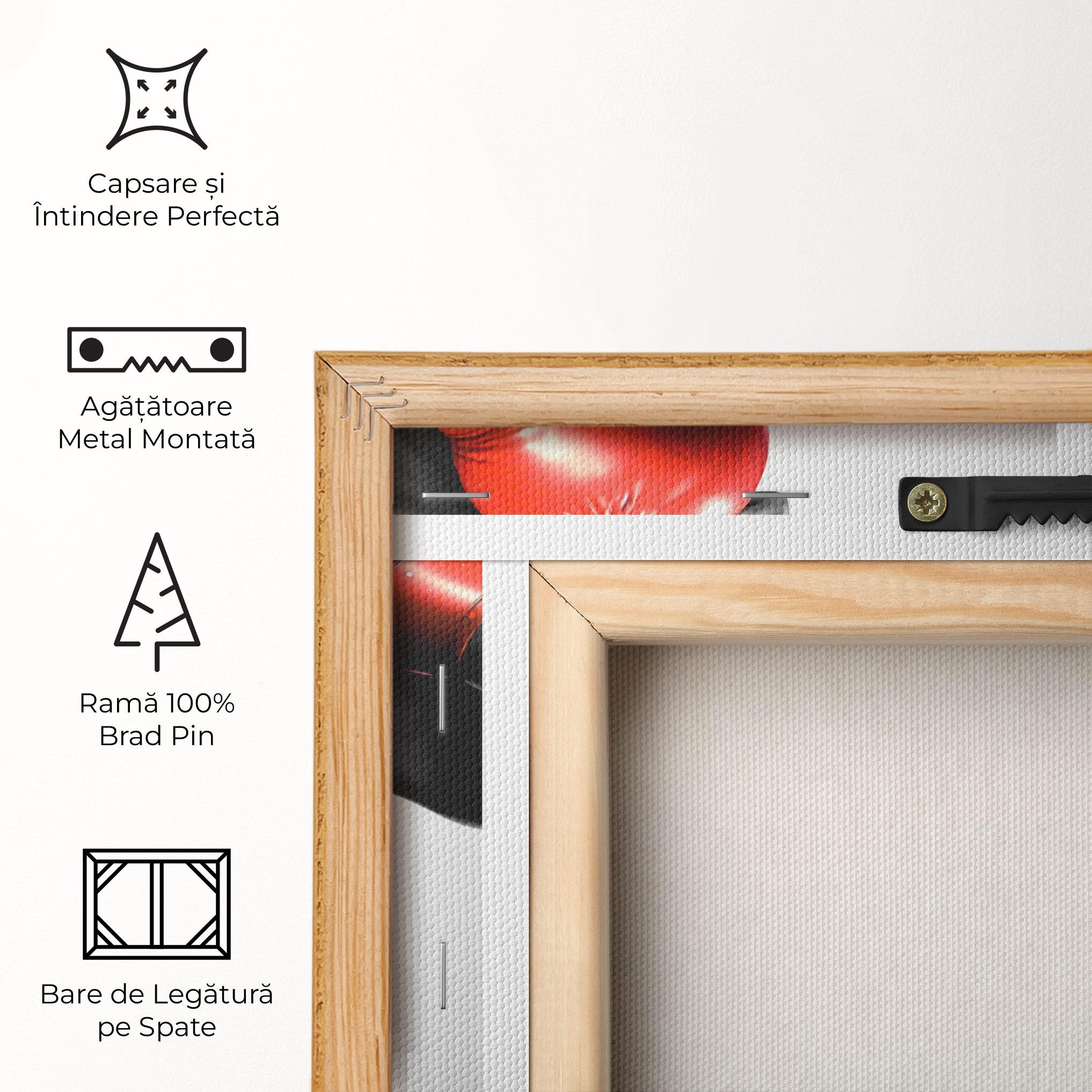 Tablou Canvas Red Smoke Box mockup 5