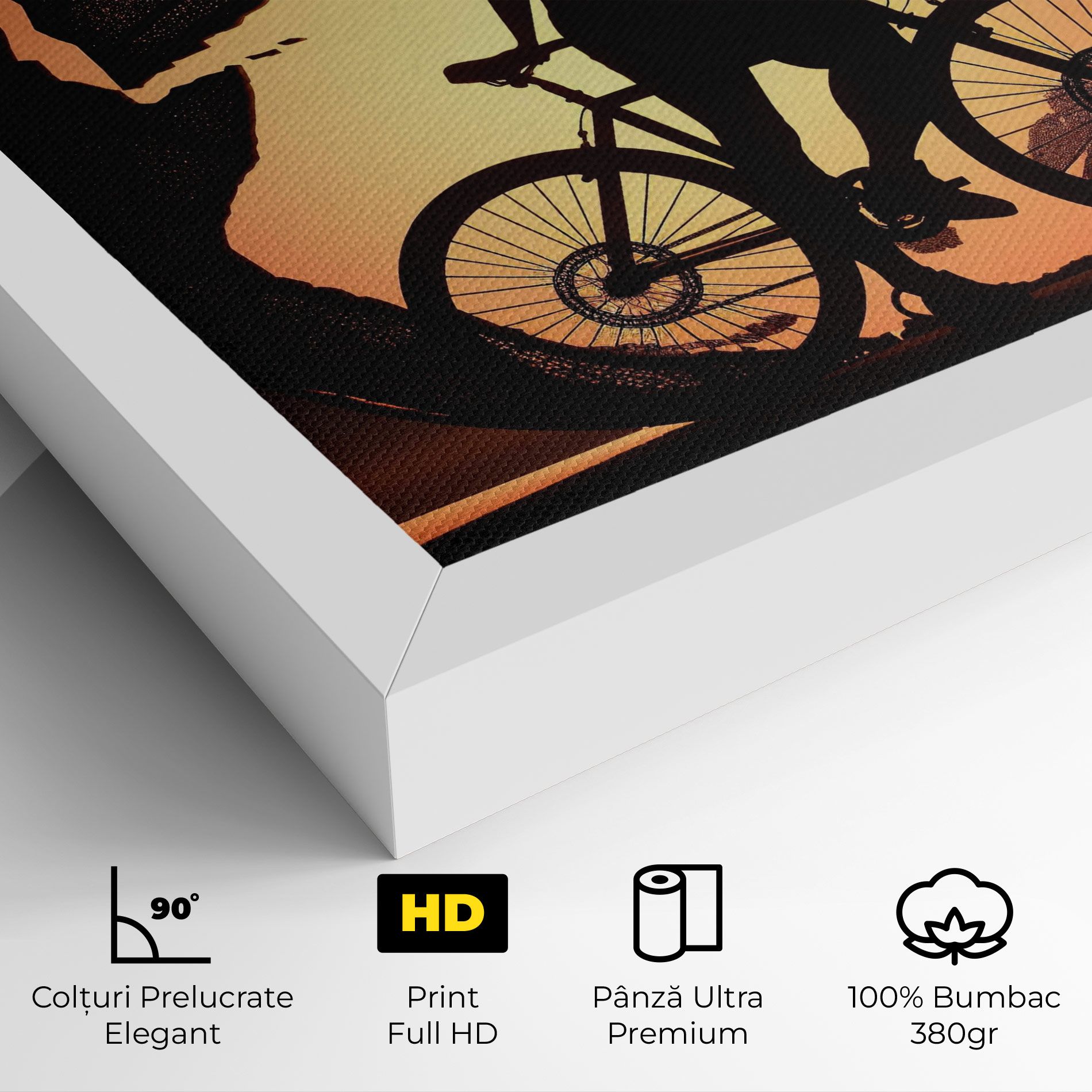 Globe Riding World mockup 4