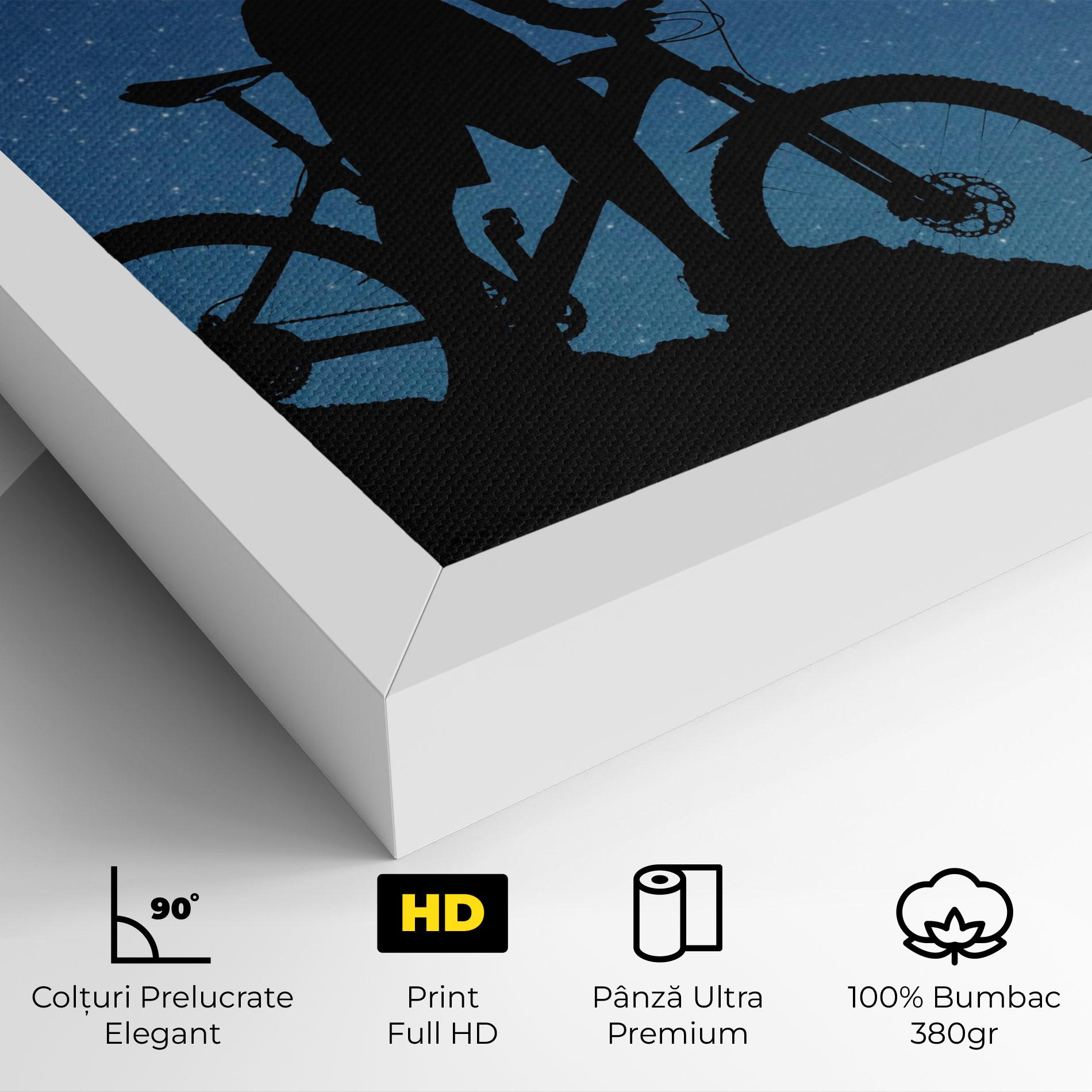 Tablou Canvas Pedal mockup 4
