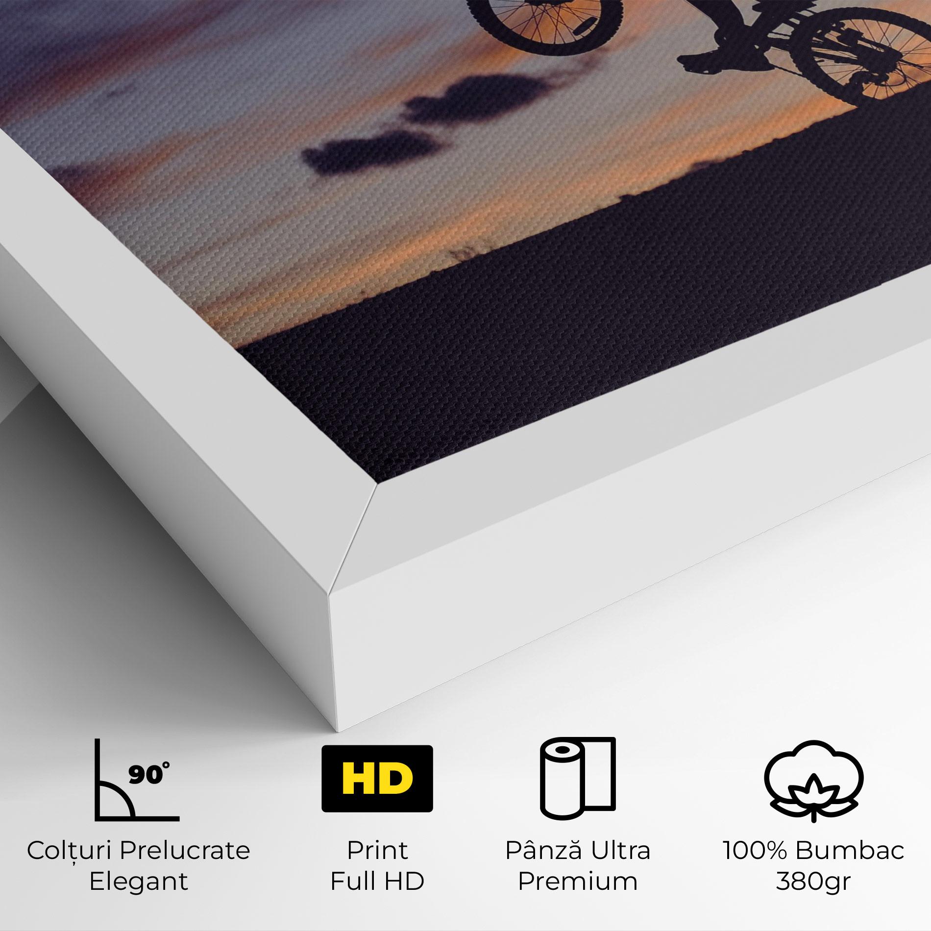 Tablou Canvas Spin Speed mockup 4