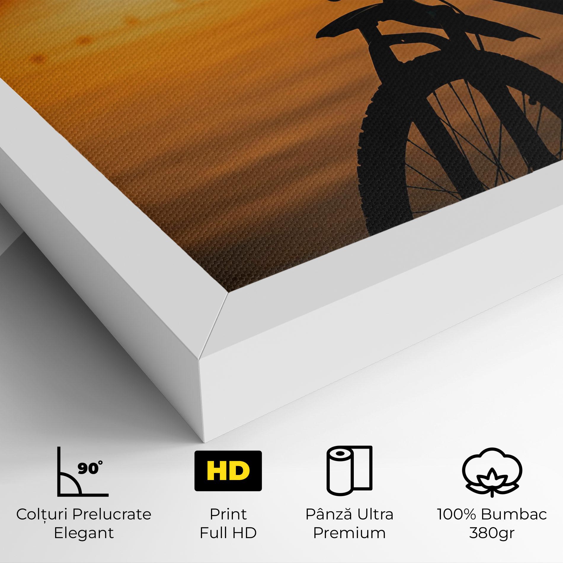 Tablou Canvas Sunset Lake Bike mockup 4