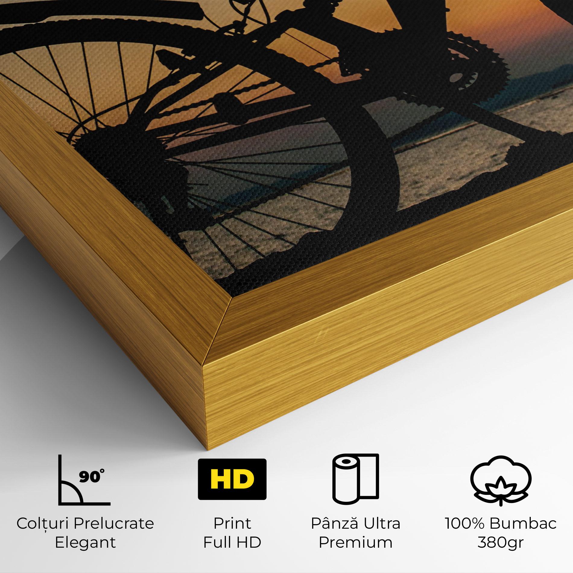 Tablou Canvas Beautiful Mtb Shilouette mockup 4