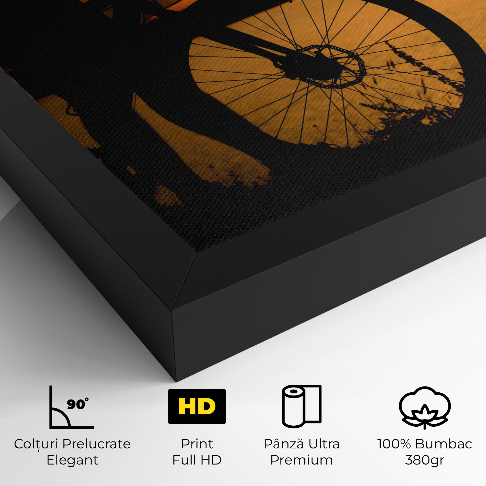 Tablou Canvas Bicycle Sunset Silhouette mockup 4