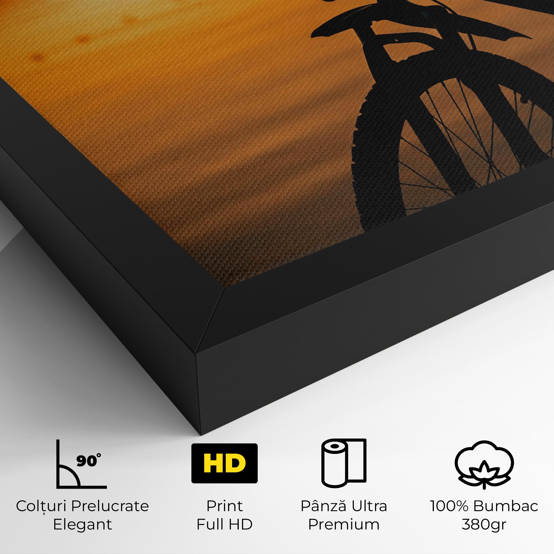 Tablou Canvas Sunset Lake Bike mockup 4