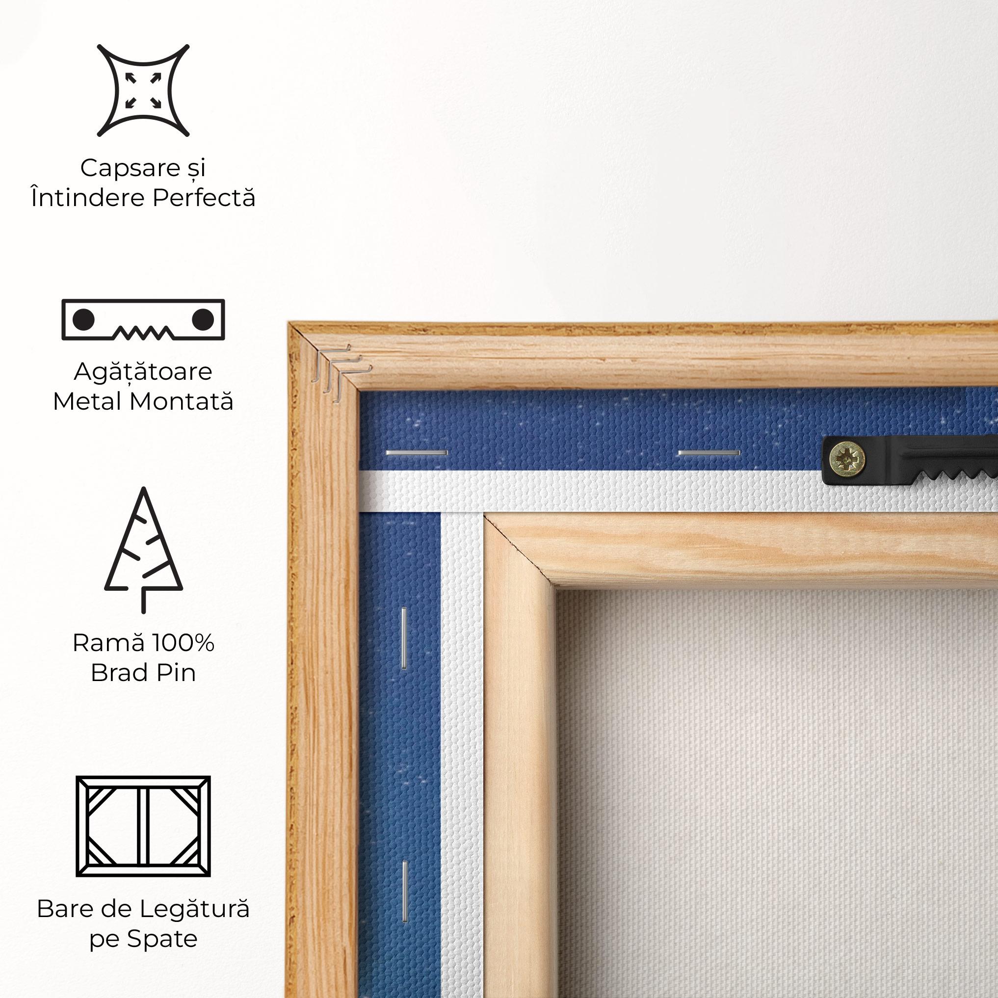 Tablou Canvas Pedal mockup 5