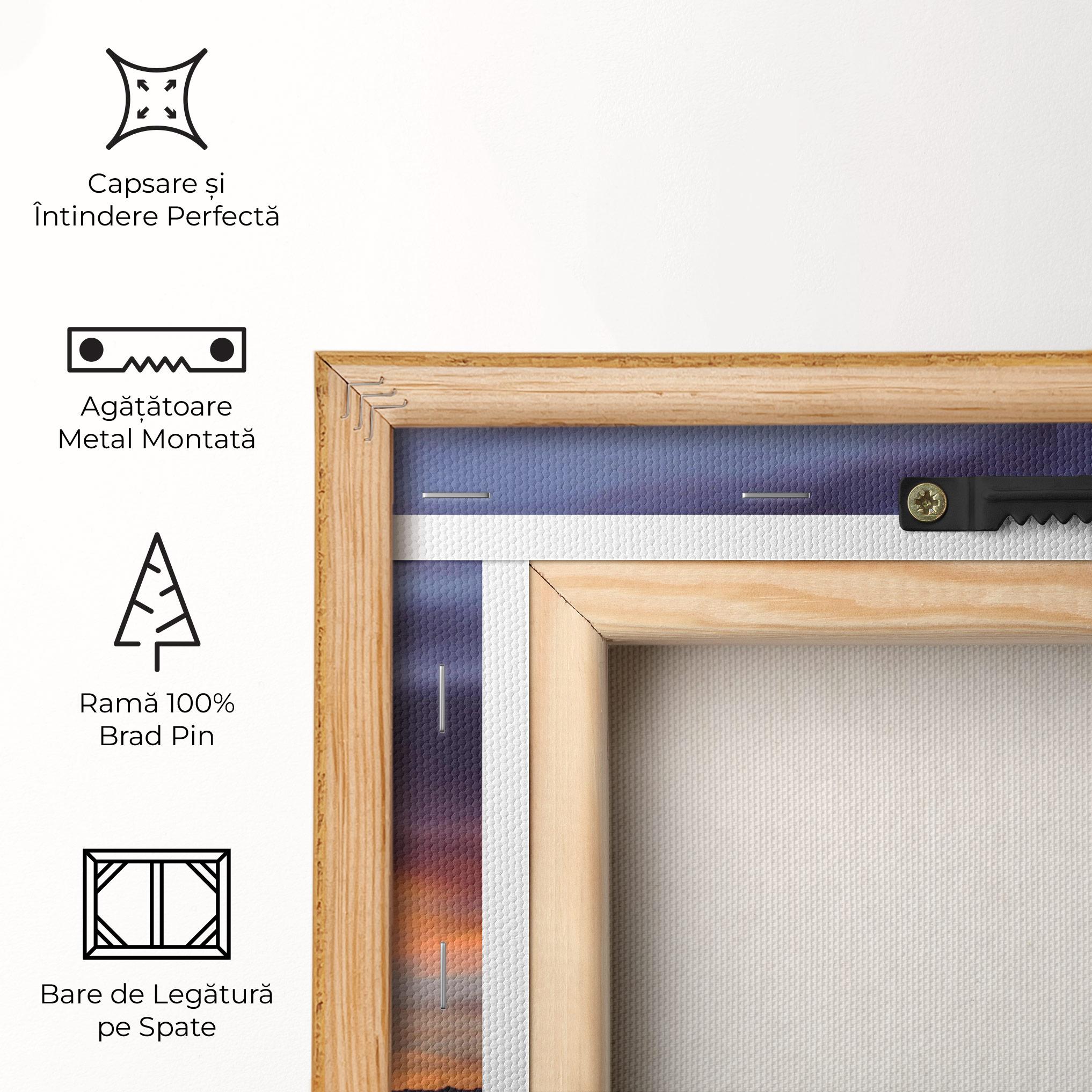 Tablou Canvas Spin Speed mockup 5