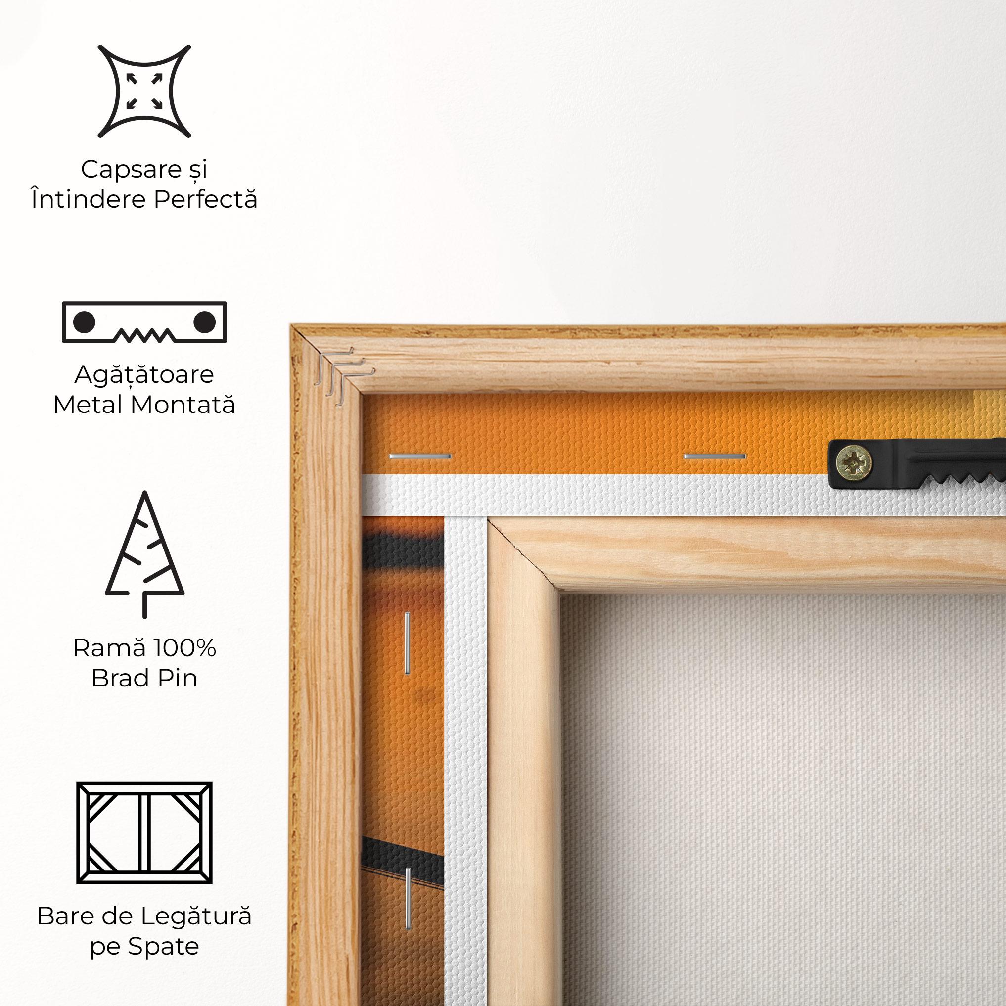 Tablou Canvas Sunset Lake Bike mockup 5