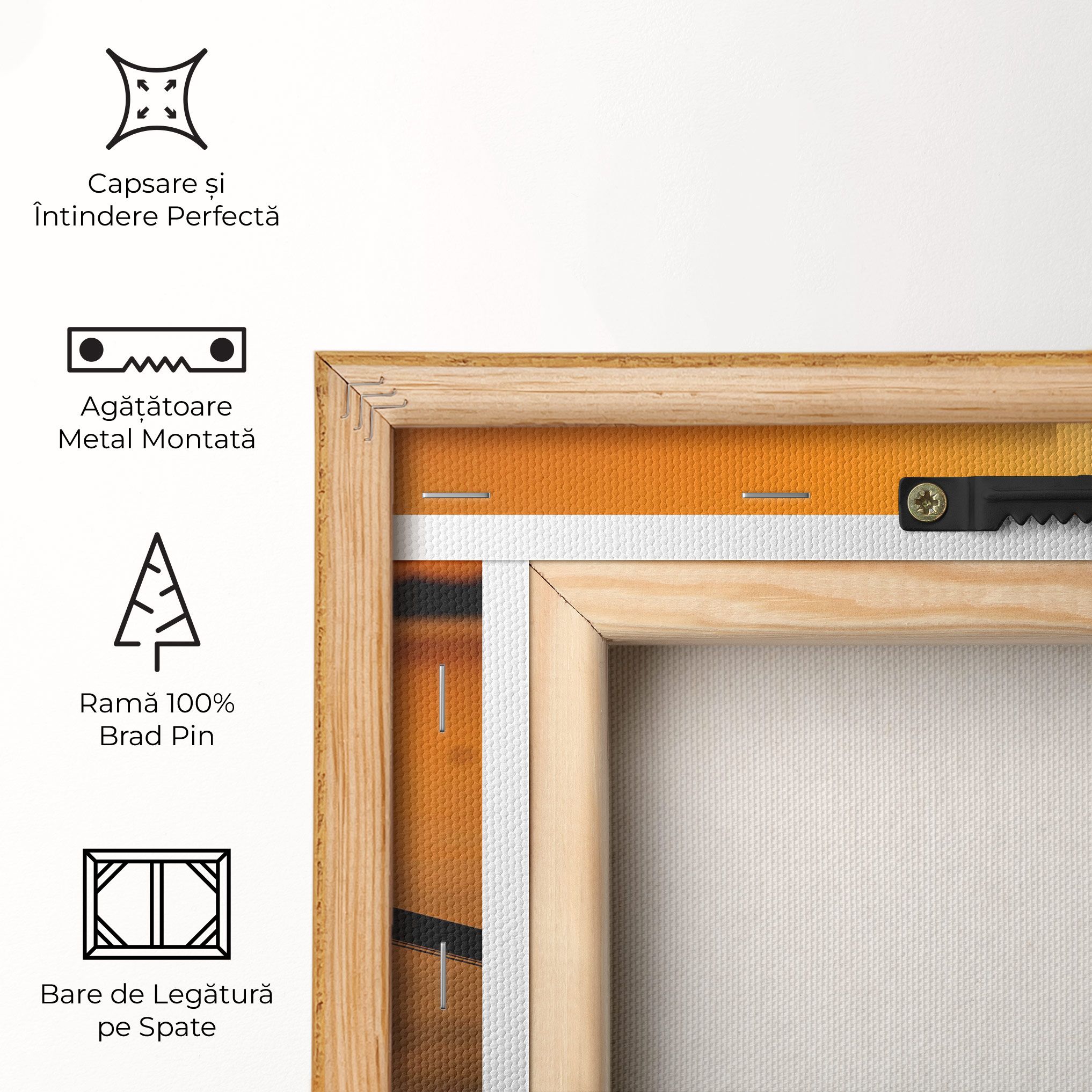 Sunset Lake Bike mockup 5