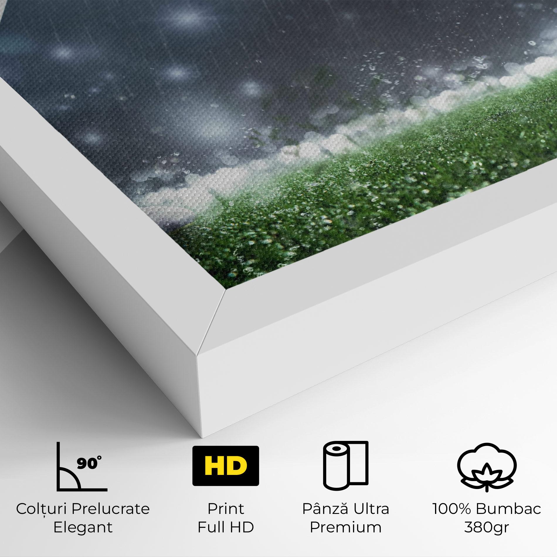Tablou Canvas Close Up Football Scene mockup 4