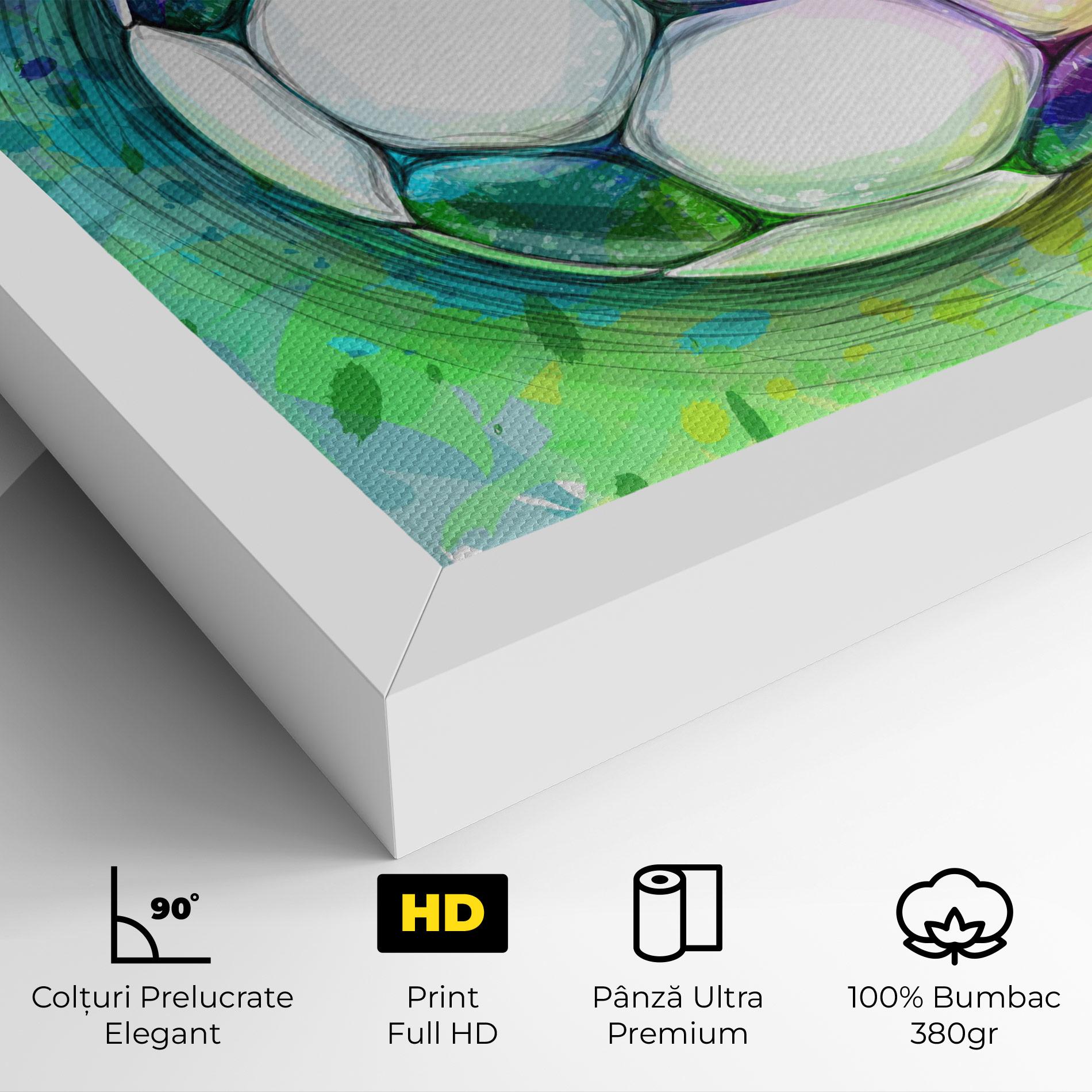 Tablou Canvas Colorful Football mockup 4