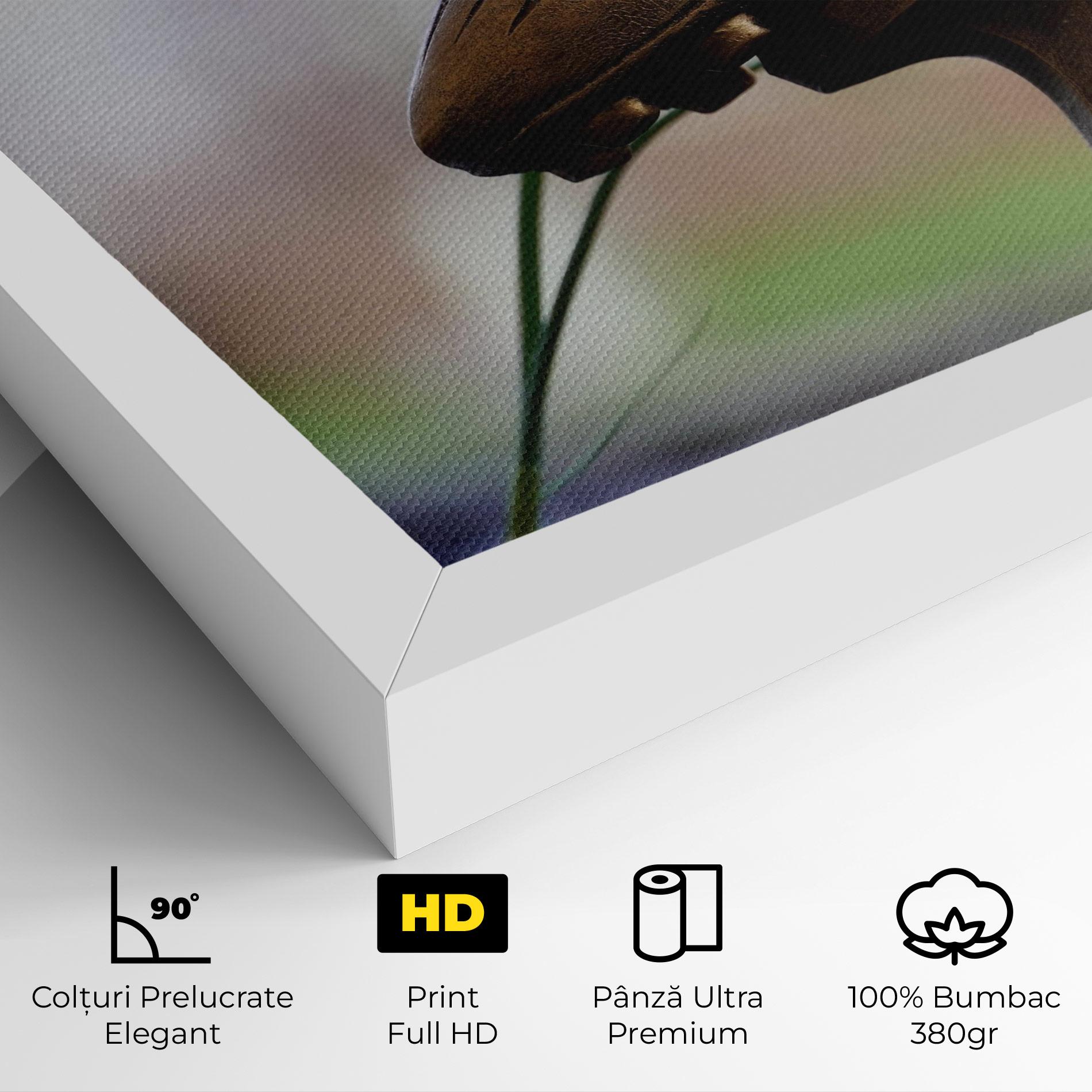 Tablou Canvas Football Award mockup 4