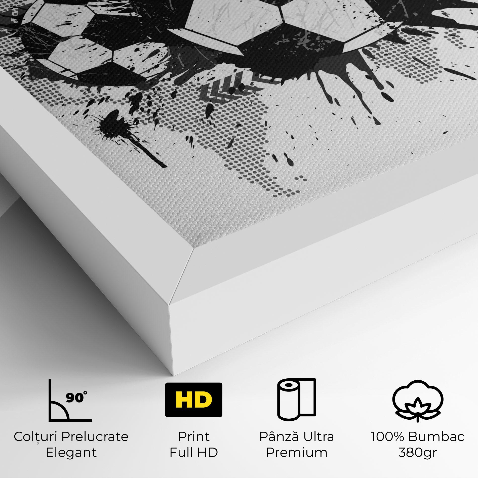 Tablou Canvas Grey Foodball mockup 4