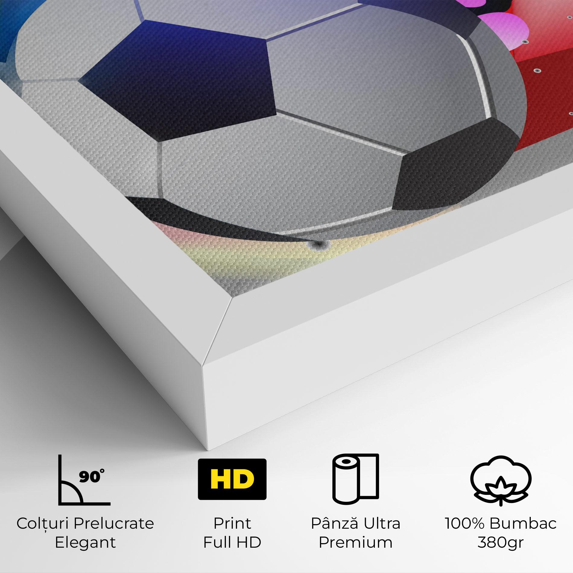 Tablou Canvas Pink Blue Football Art mockup 4