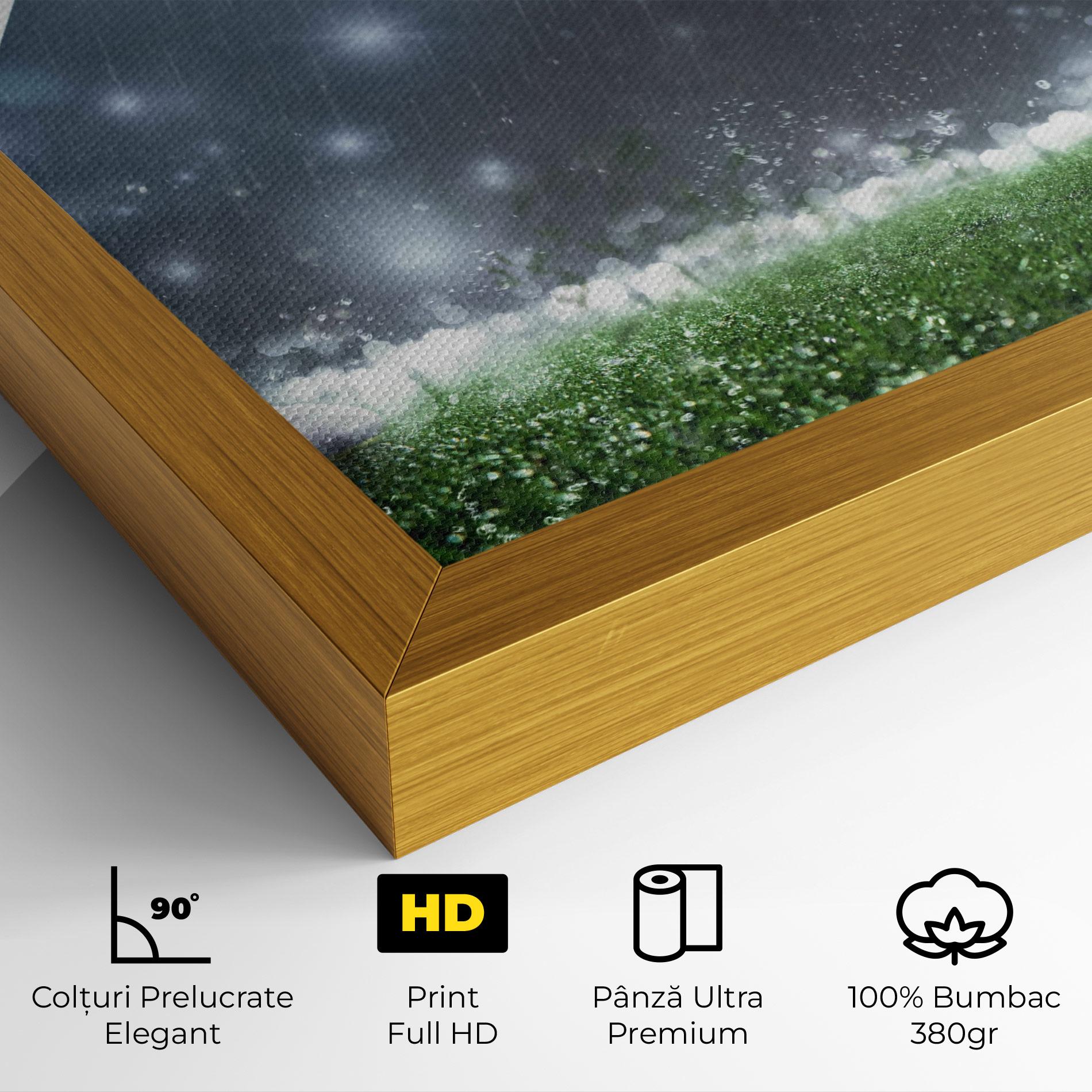 Tablou Canvas Close Up Football Scene mockup 4