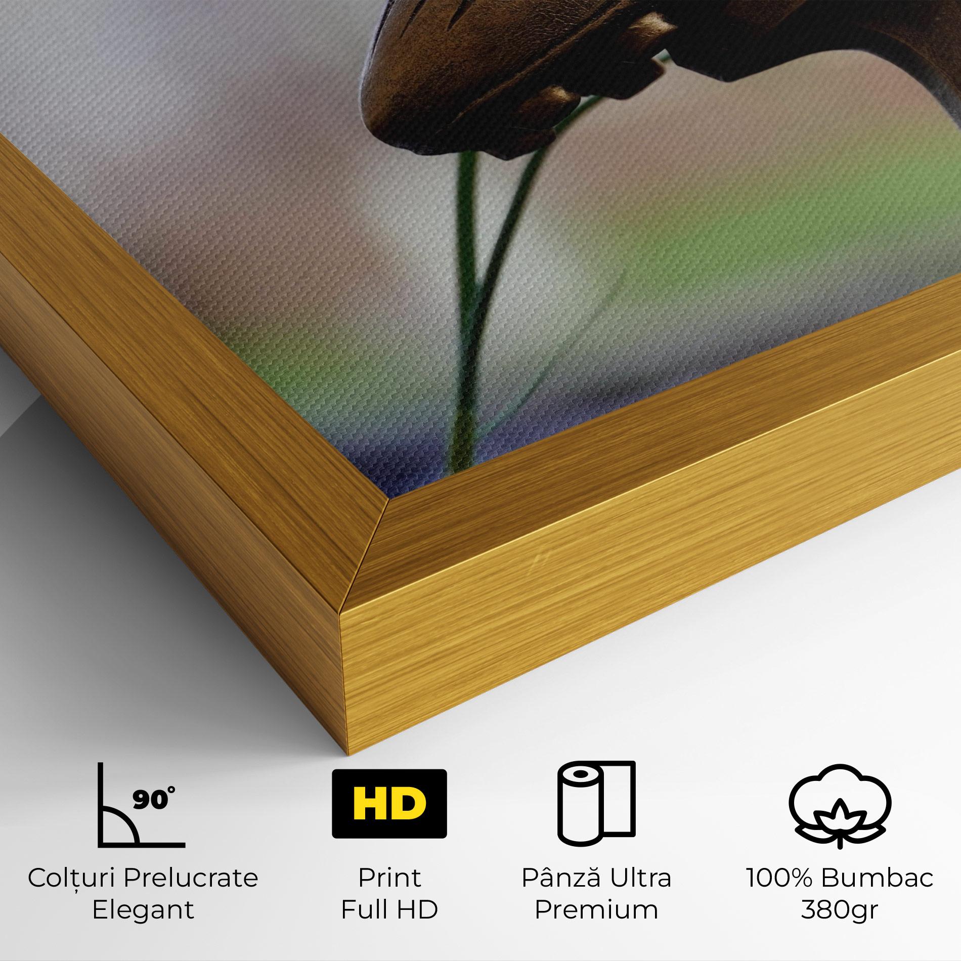 Tablou Canvas Football Award mockup 4