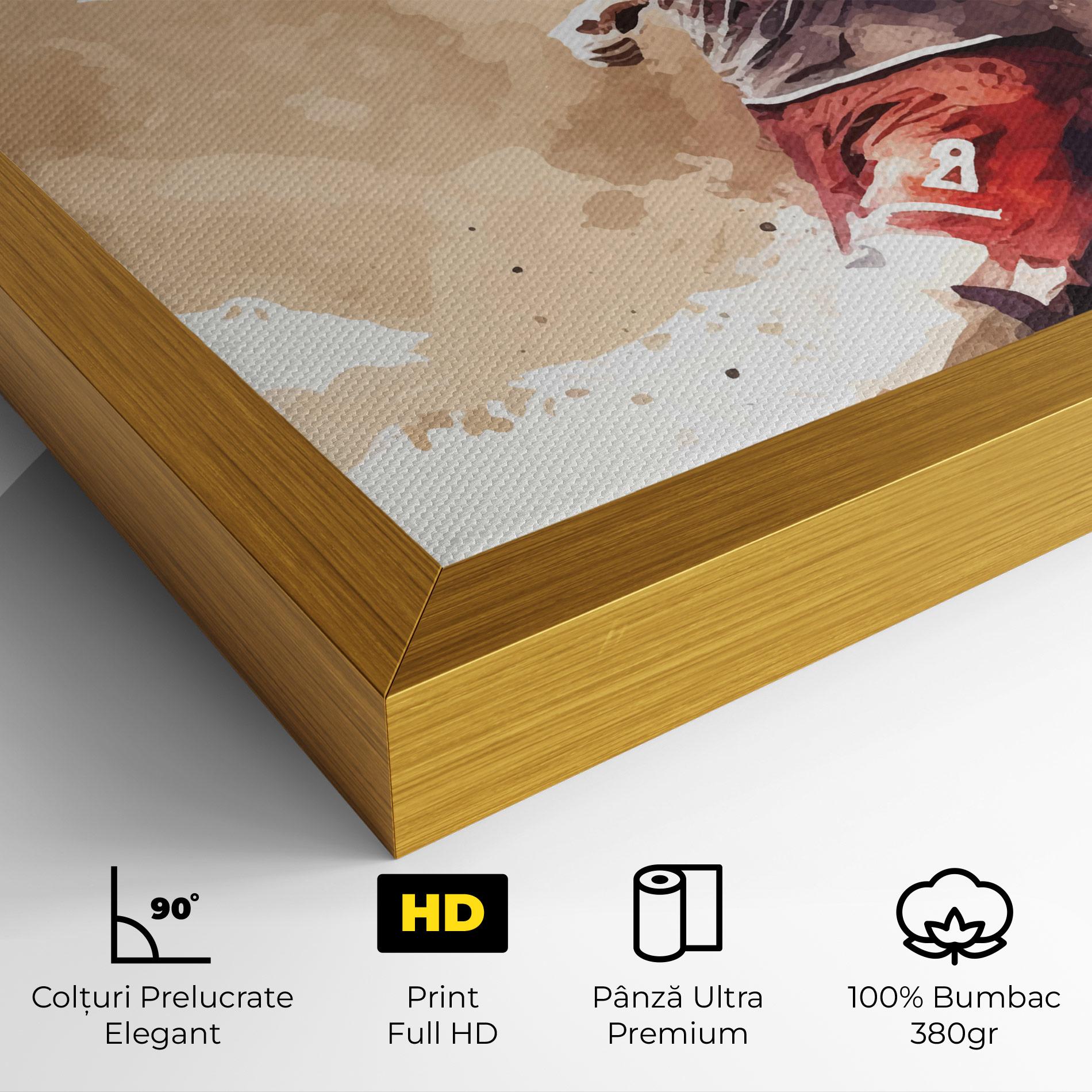 Tablou Canvas Football Red Cream mockup 4