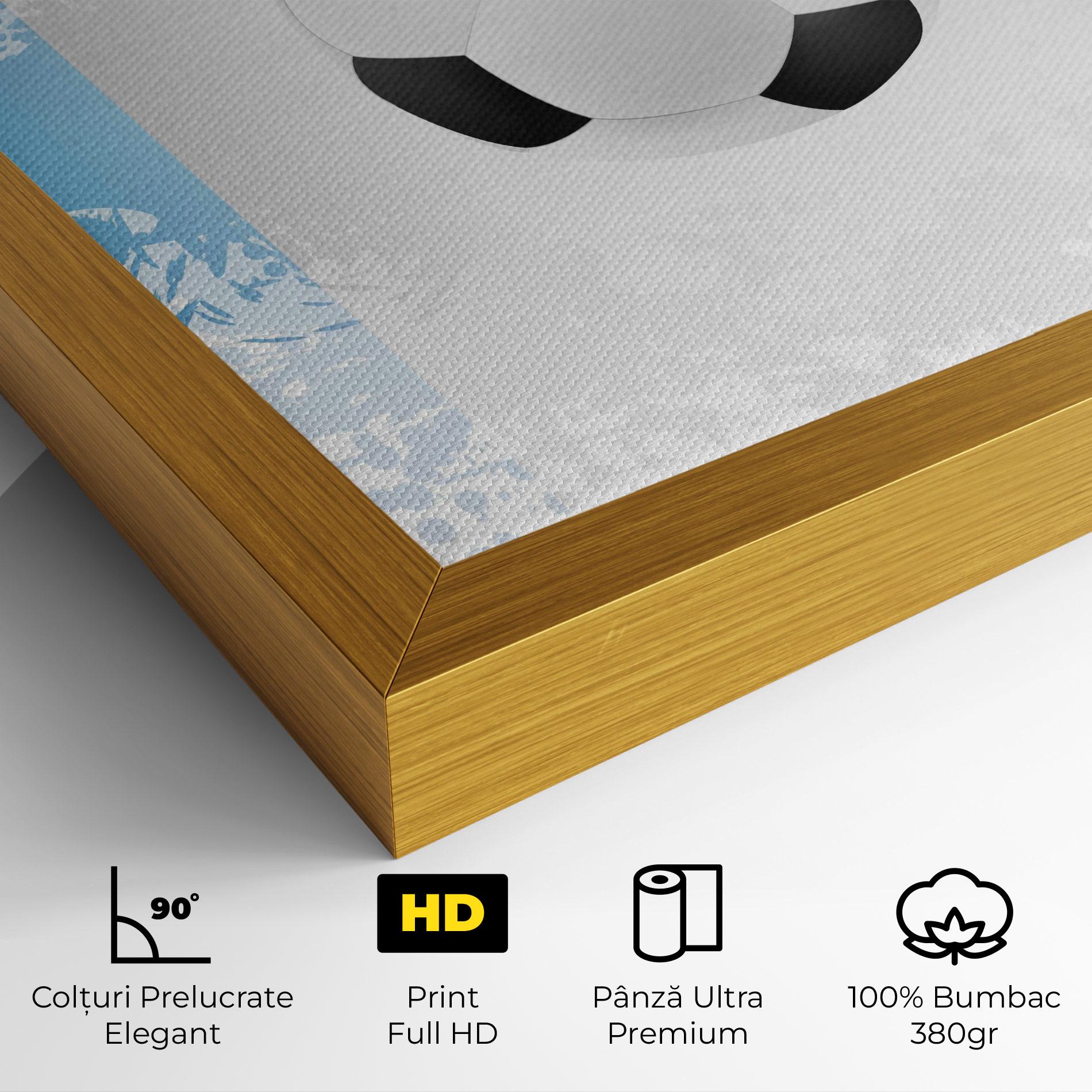 Tablou Canvas France Football mockup 4
