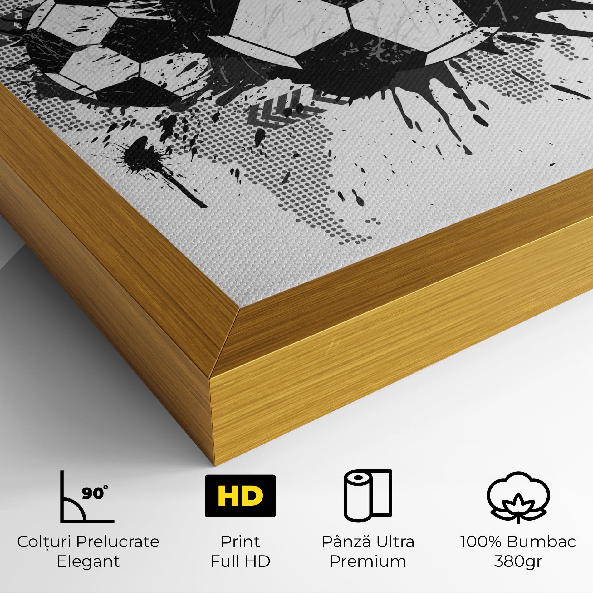 Tablou Canvas Grey Foodball mockup 4