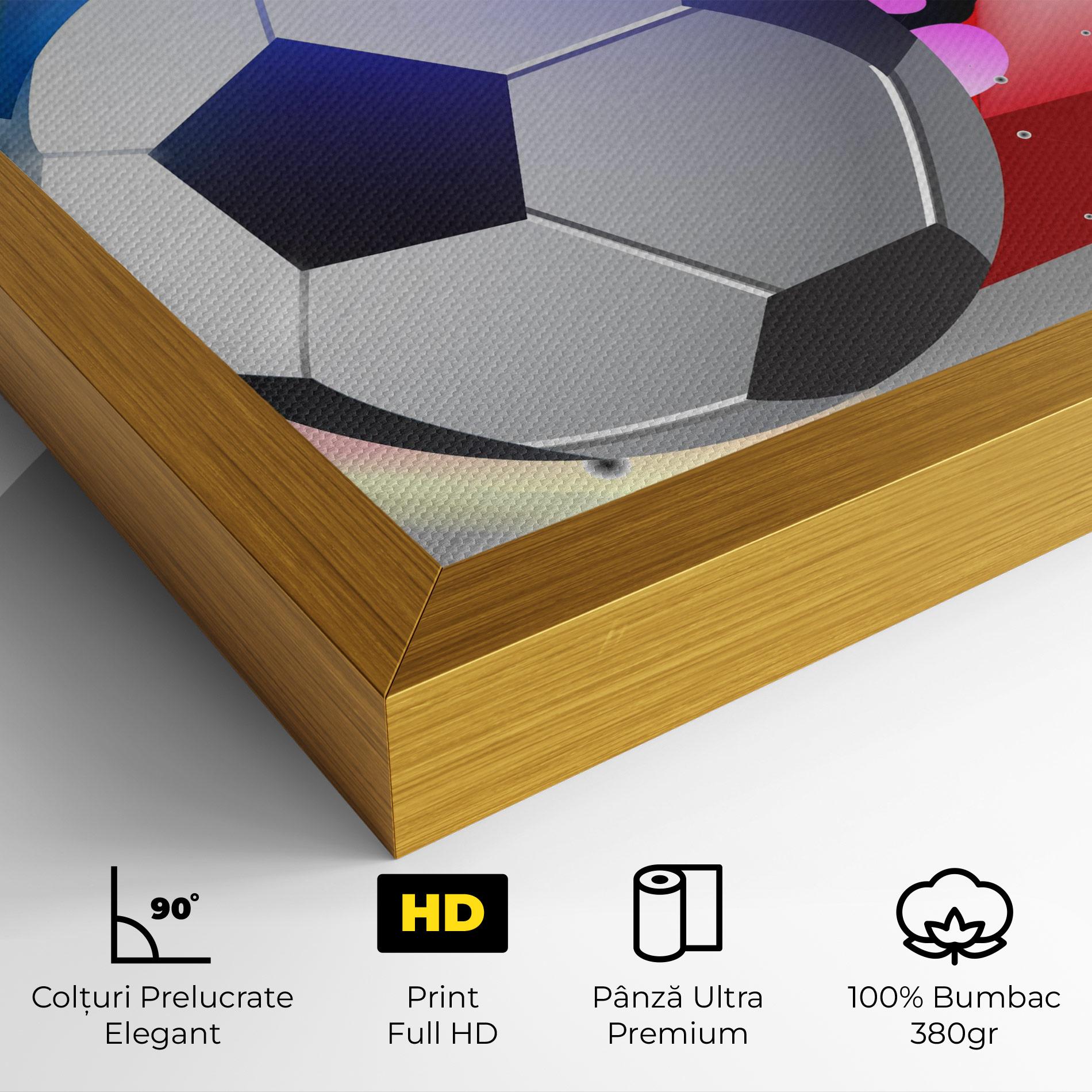 Tablou Canvas Pink Blue Football Art mockup 4