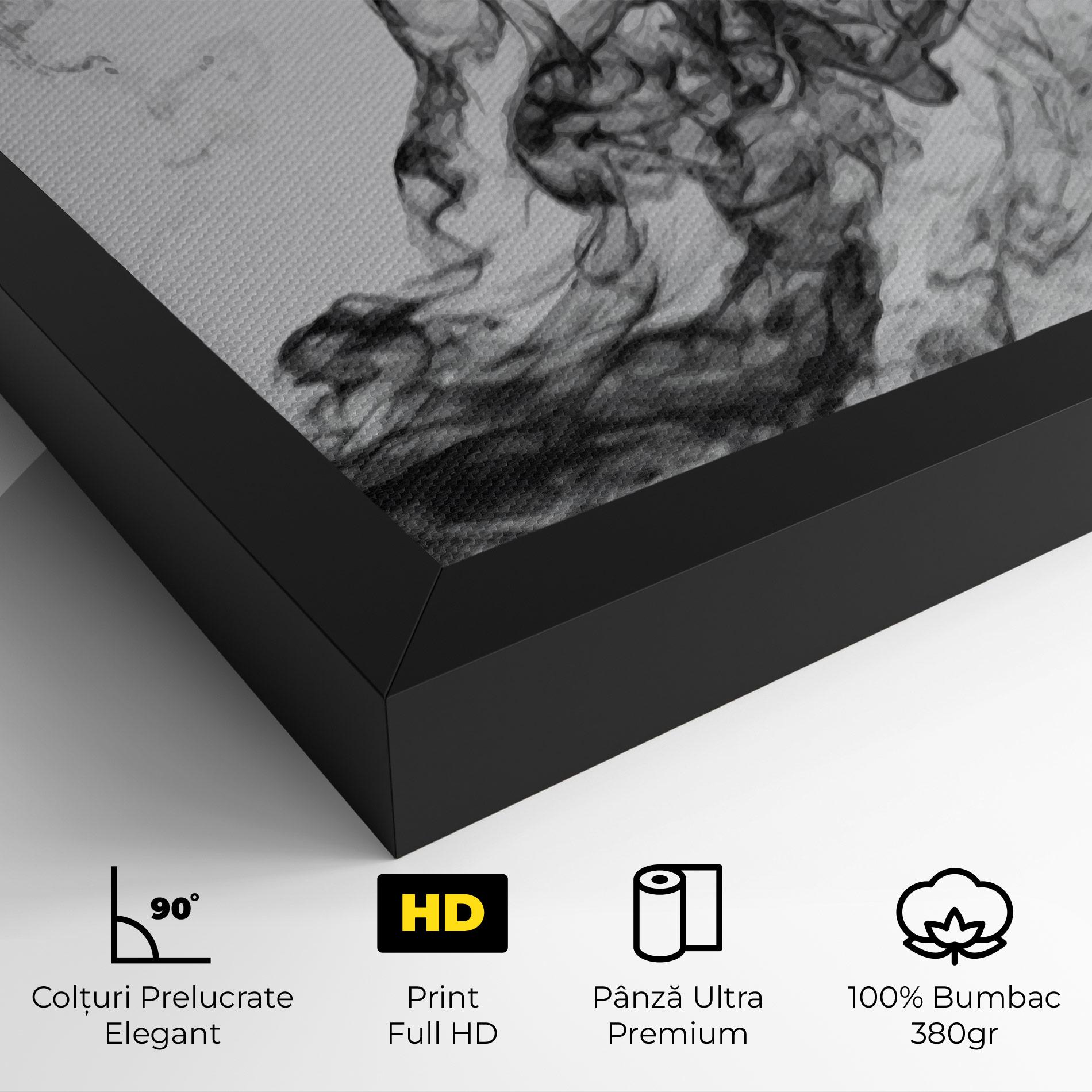 Tablou Canvas Black Smoke Football mockup 4