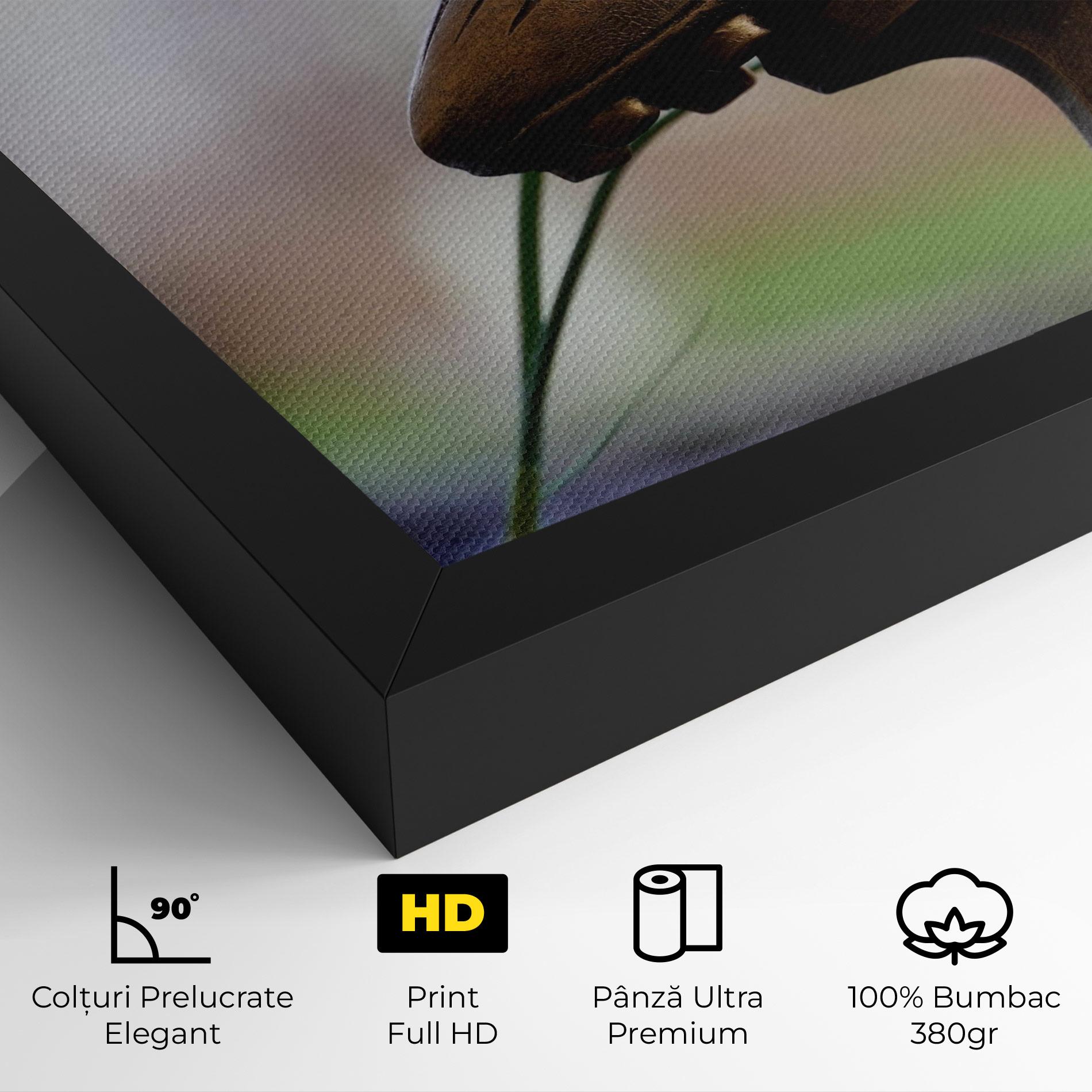 Tablou Canvas Football Award mockup 4