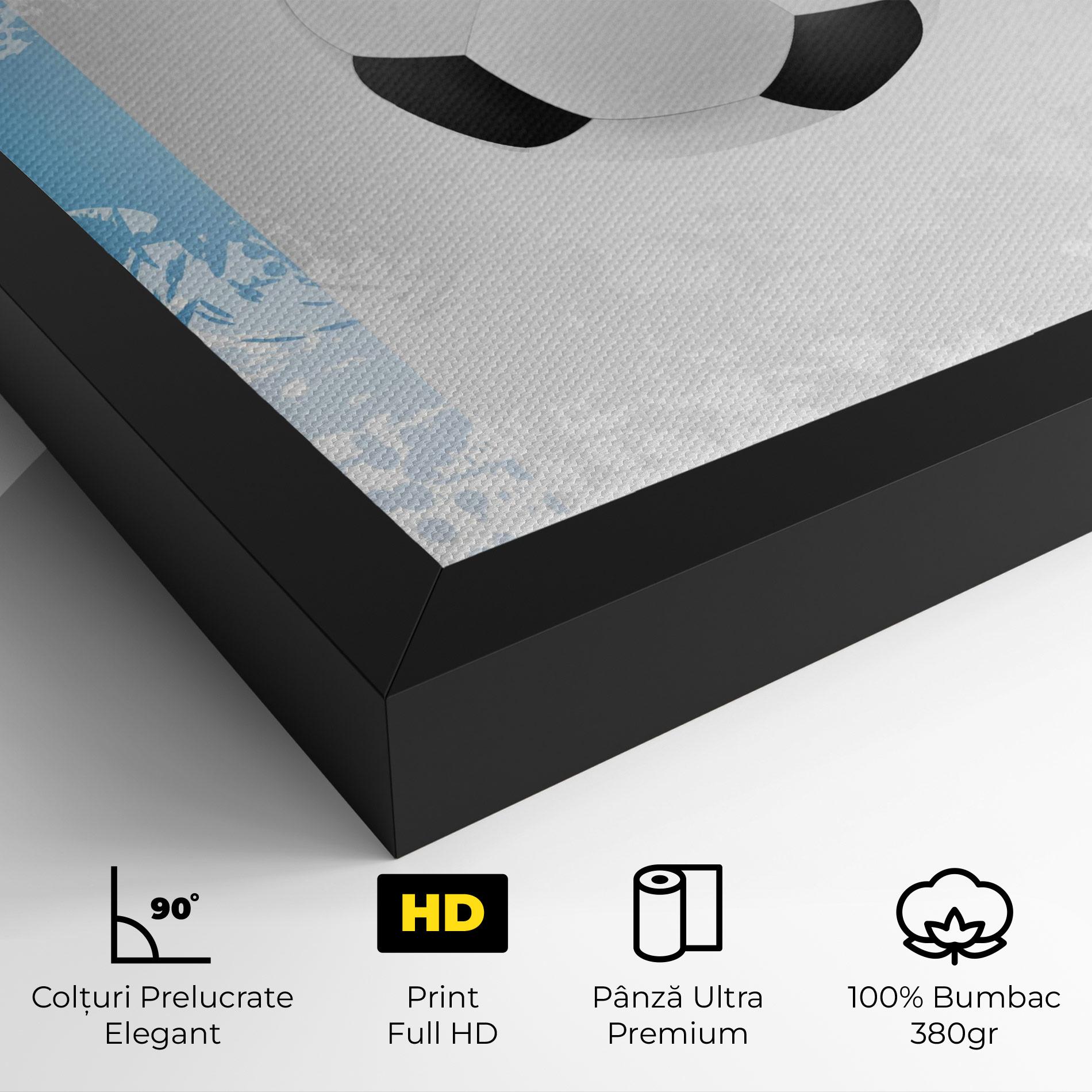 Tablou Canvas France Football mockup 4