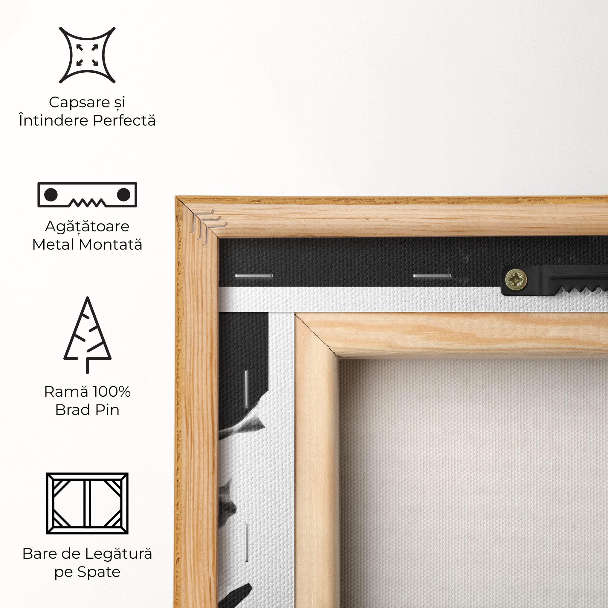 Tablou Canvas Football White Smoke mockup 5