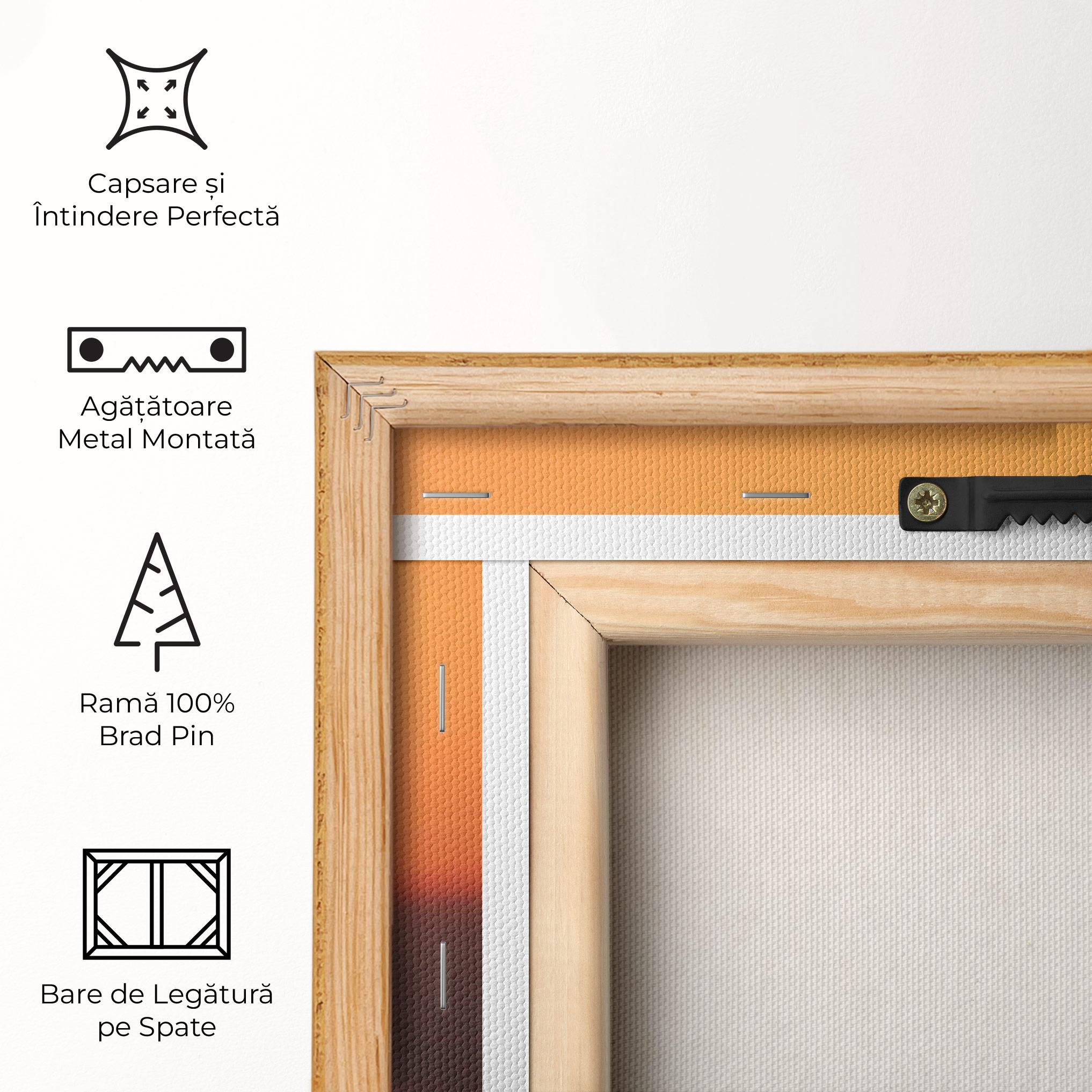 Tablou Canvas Football With The Sun mockup 5