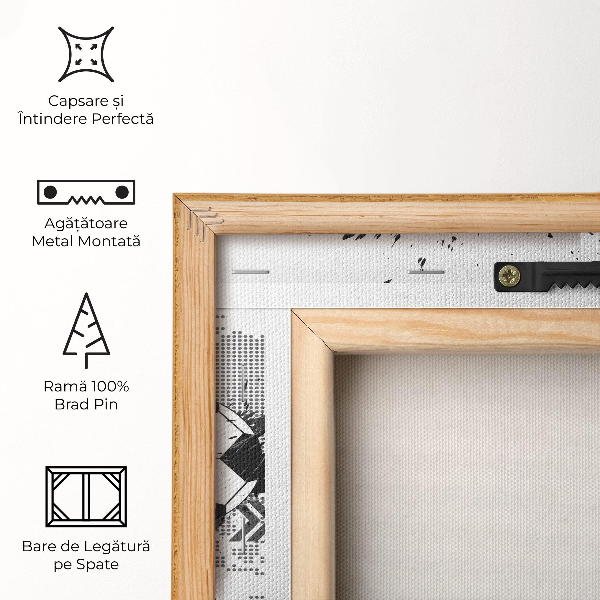 Tablou Canvas Grey Foodball mockup 5