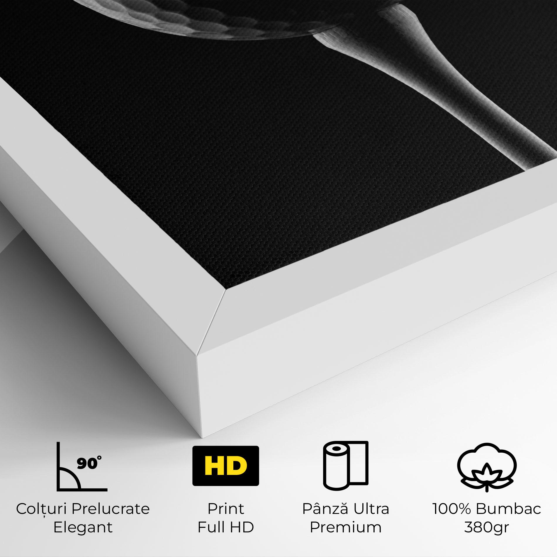 Tablou Canvas Golf Ball Black mockup 4