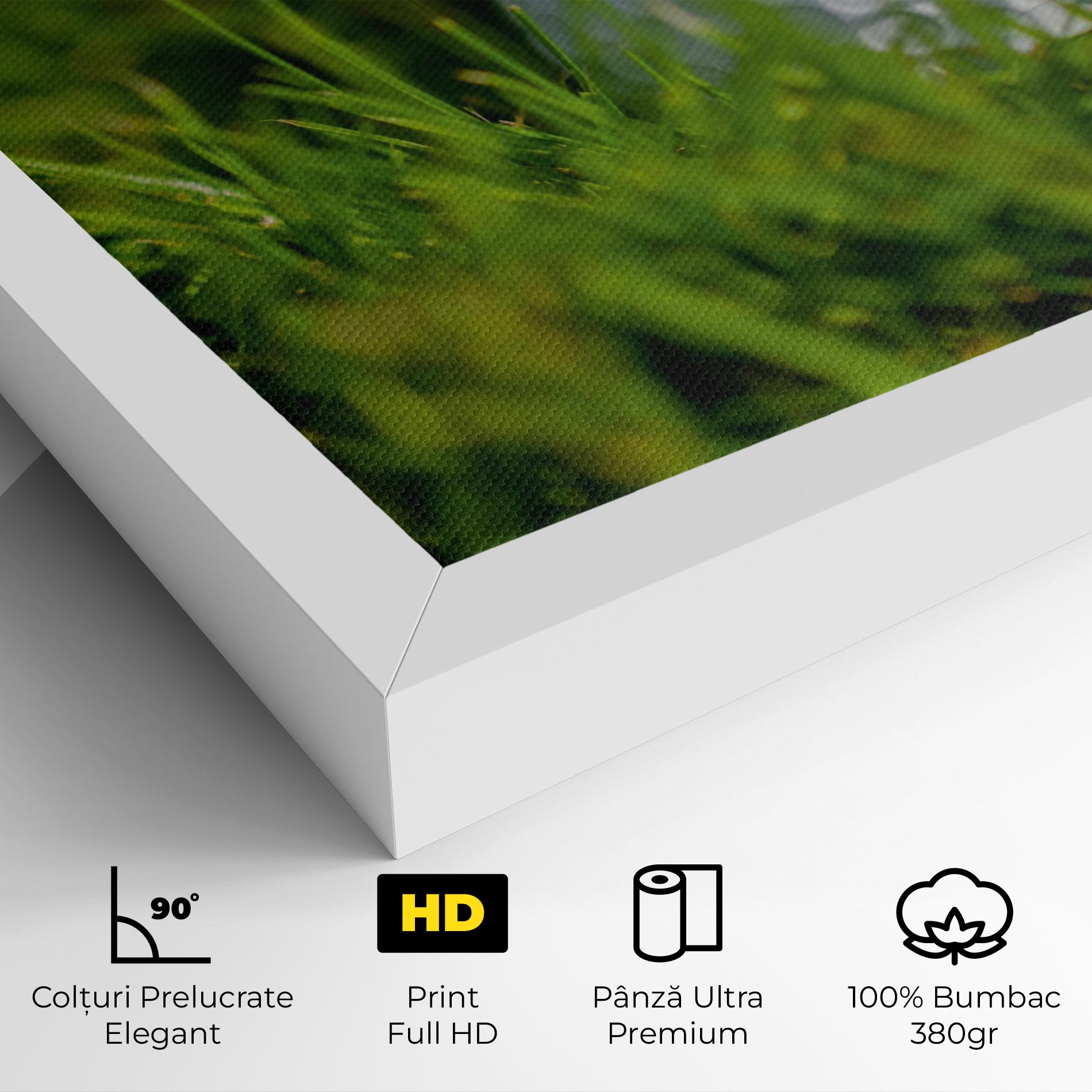 Tablou Canvas Golf Ball In Grass mockup 4