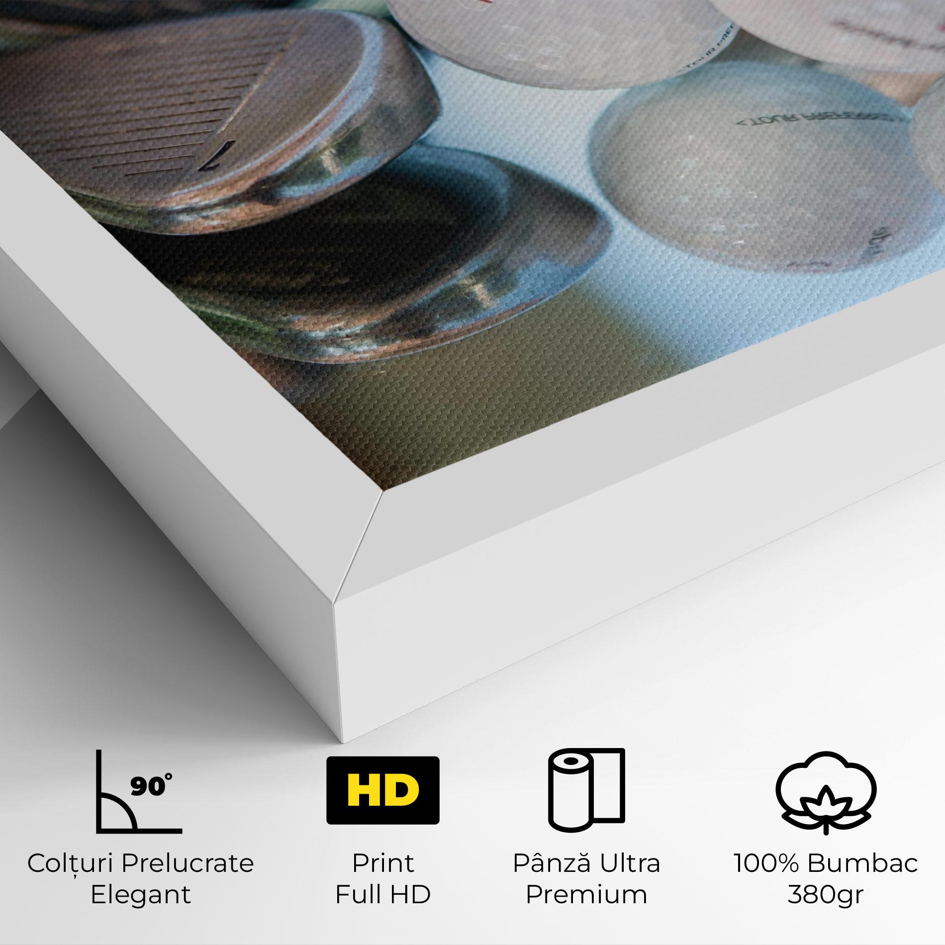 Tablou Canvas Golf Balls Set mockup 4