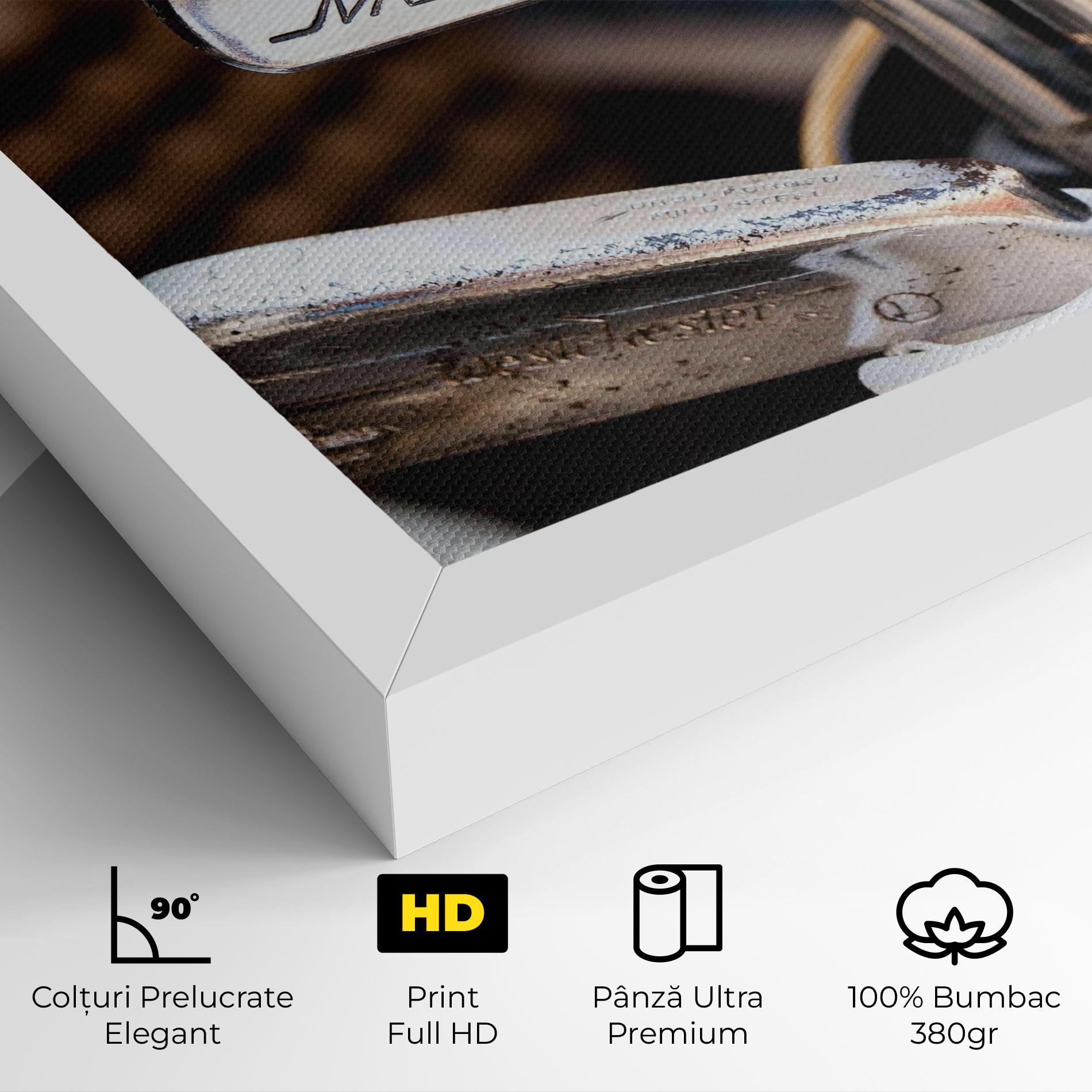 Tablou Canvas Silver Golf Club mockup 4